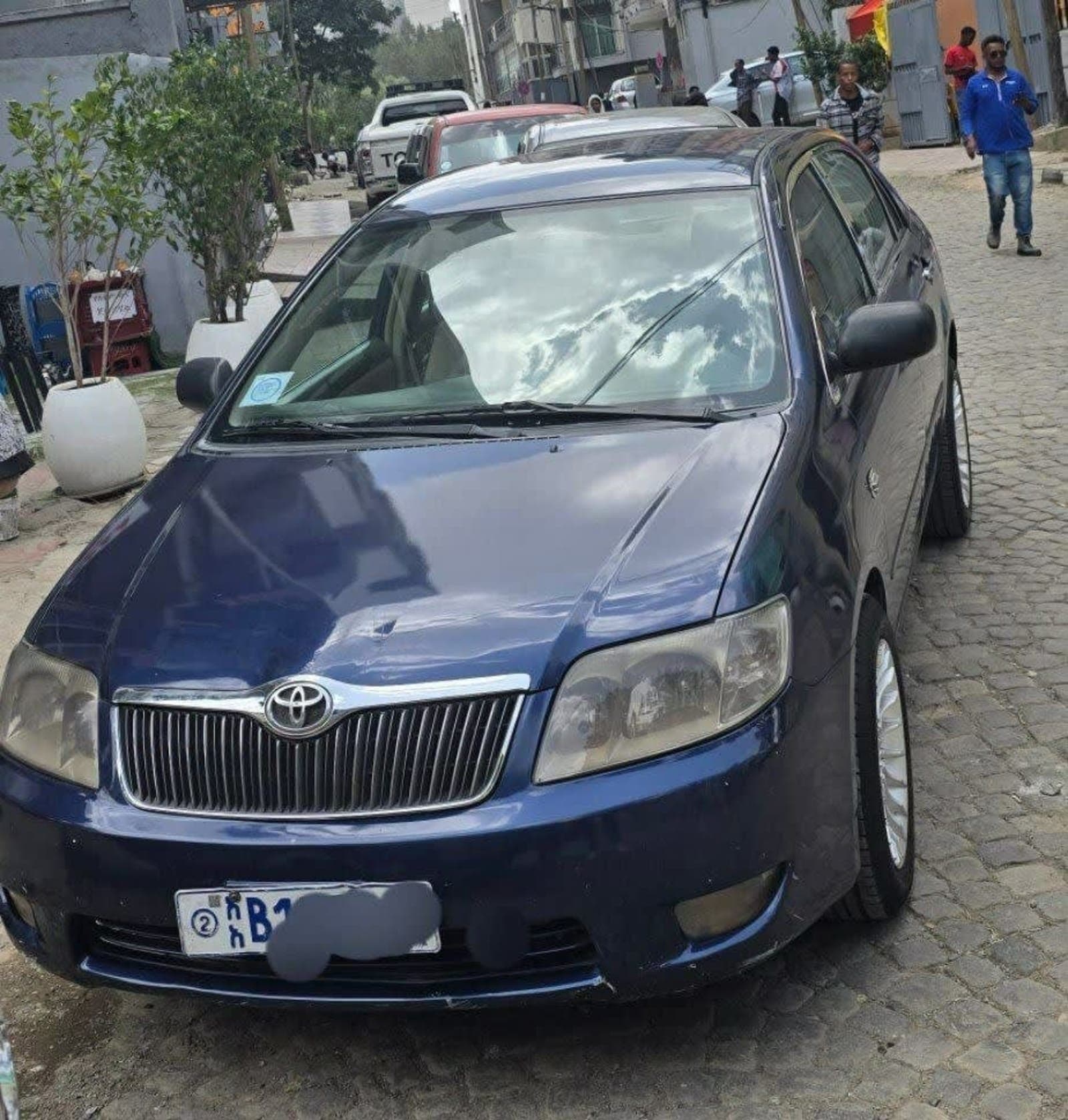 2005 Toyota Corolla — photo 4