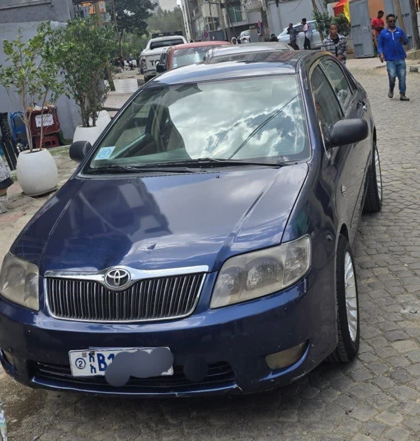 2005 Toyota Corolla