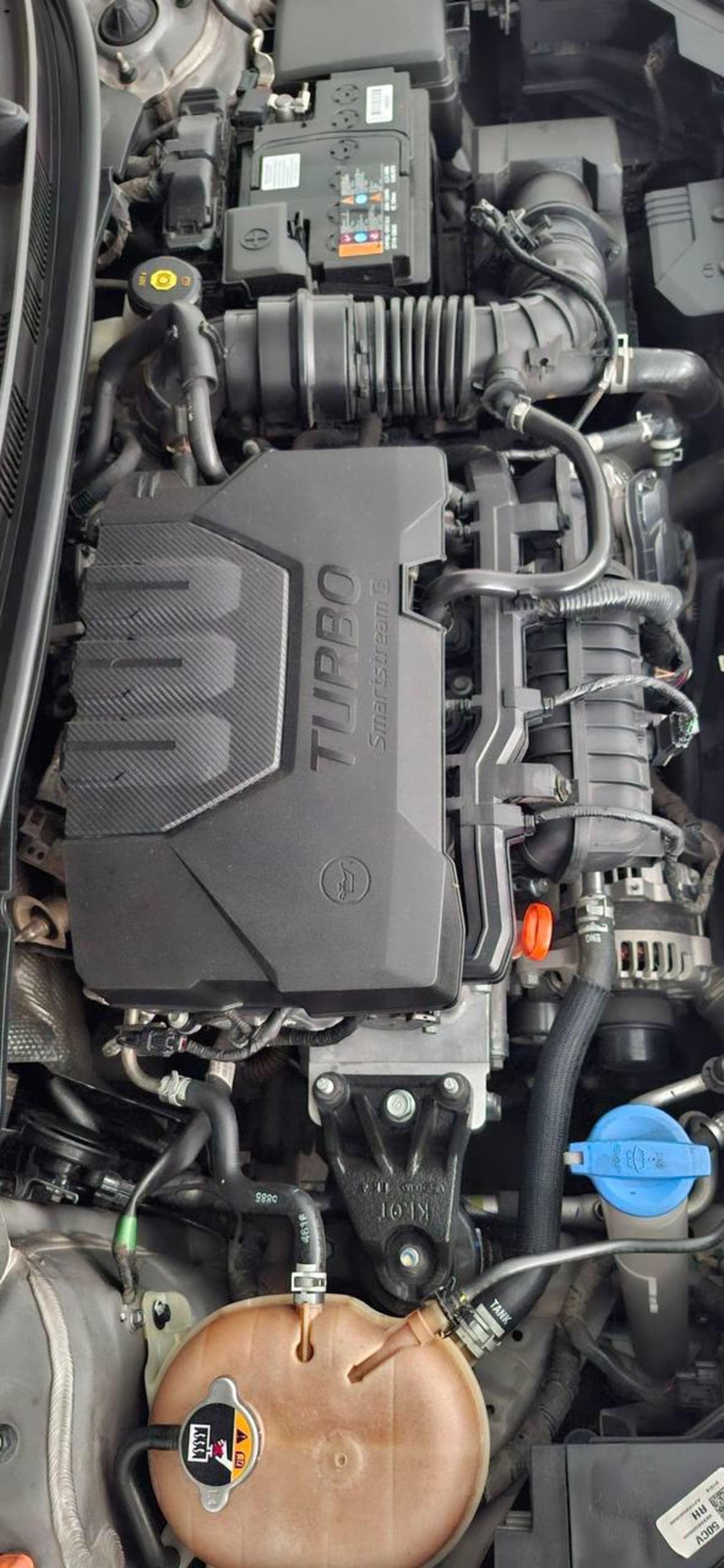 2023 Hyundai Bayon — photo 4