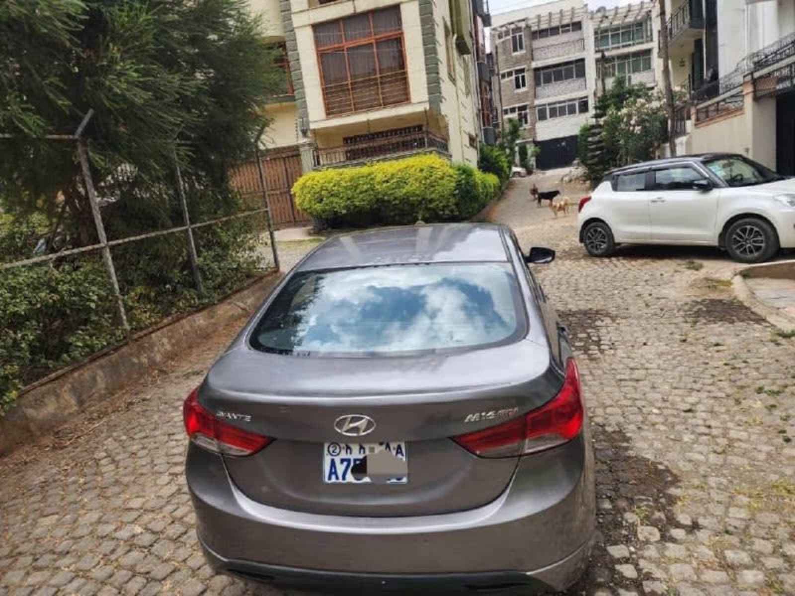 2013 Hyundai Avante