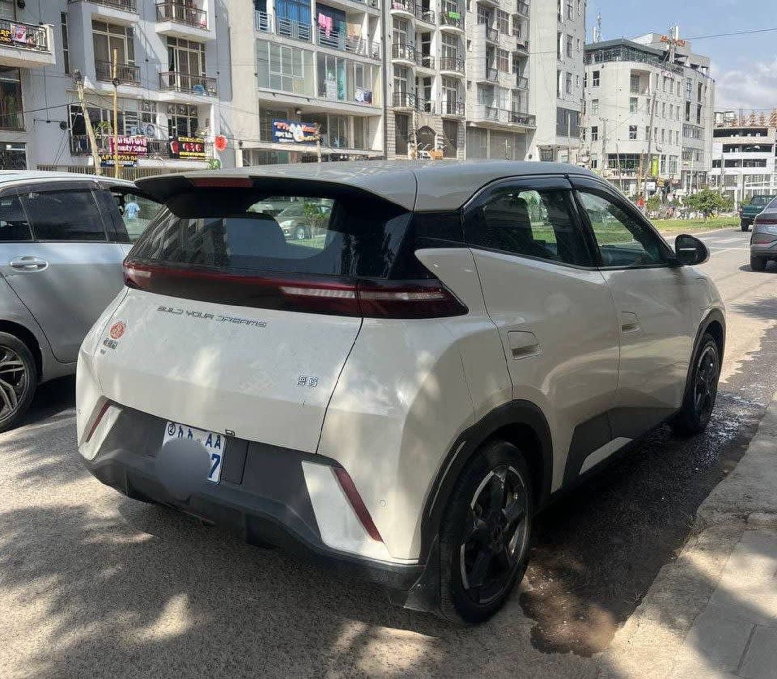 2024 BYD Segull — photo 4