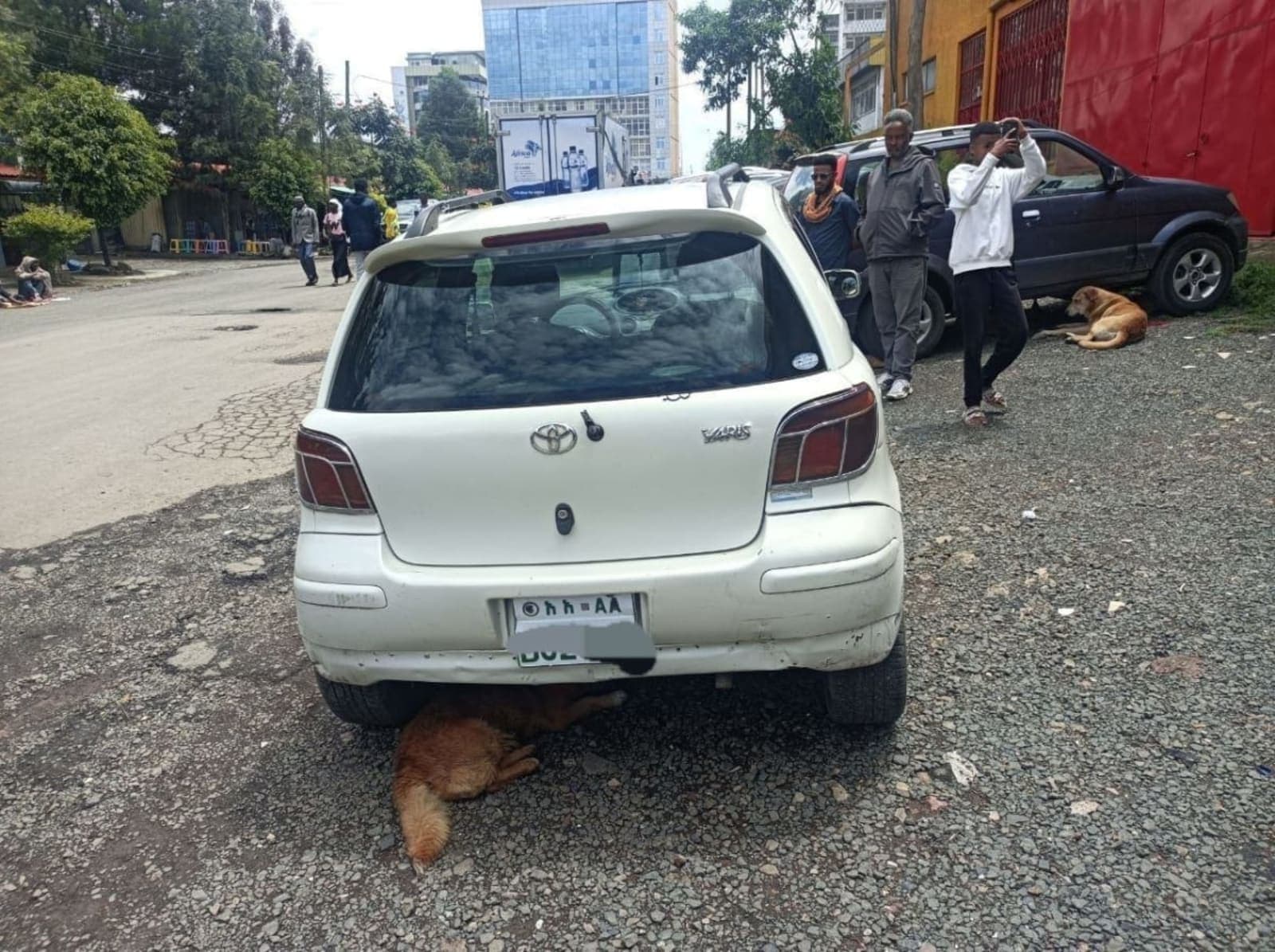 2002 Toyota Vitz — photo 4