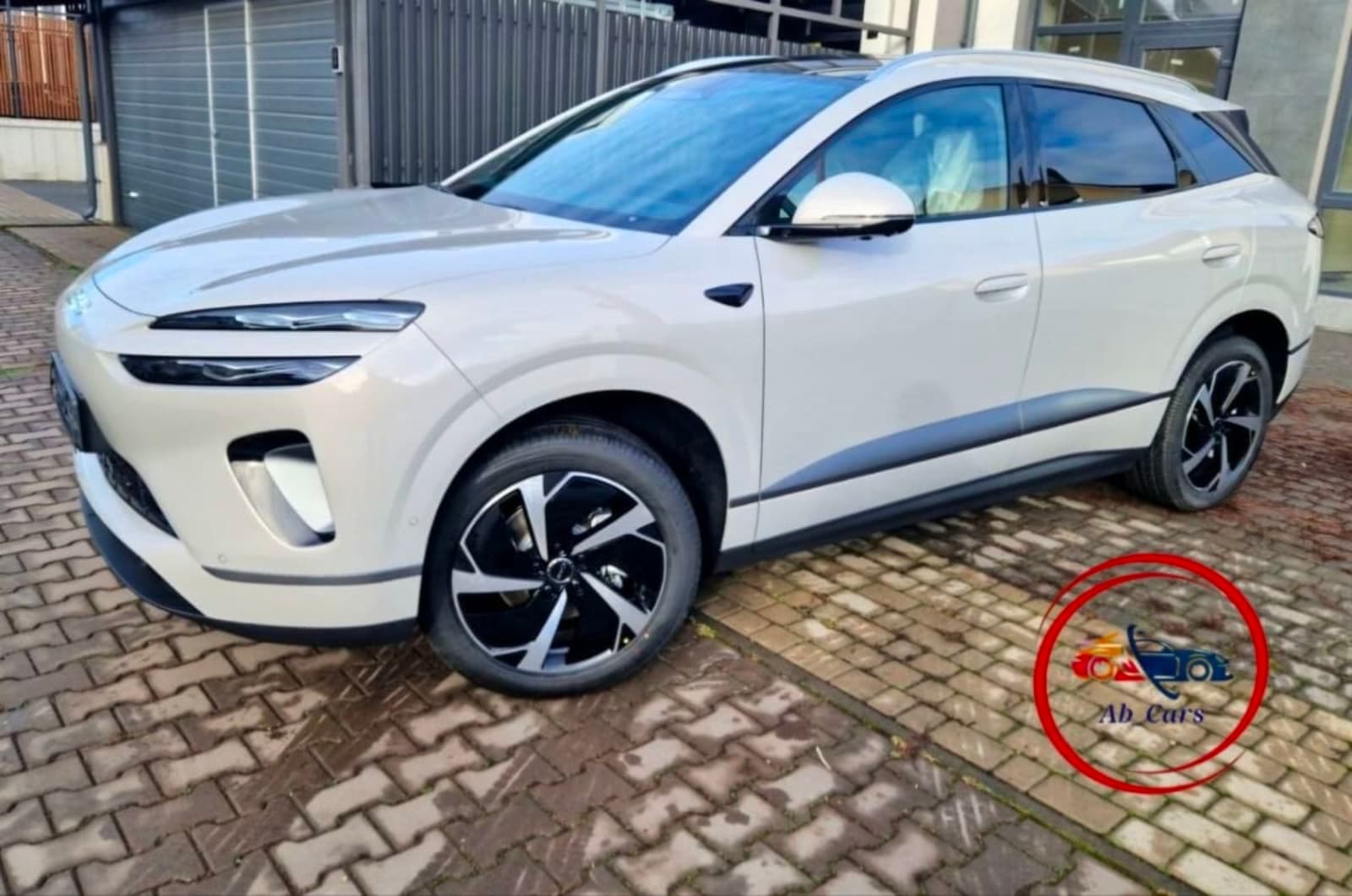 2025 BYD Sea-lion 06 EV DiPilot — photo 7