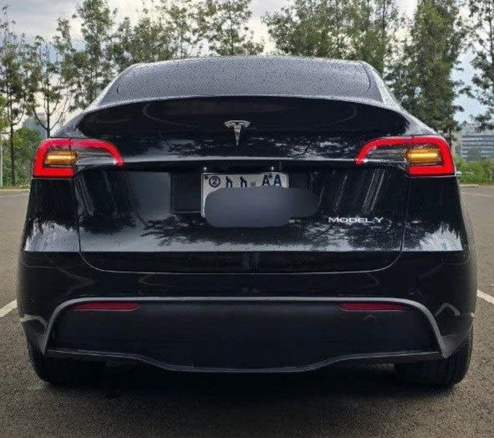 2023 Tesla Model Y — photo 3