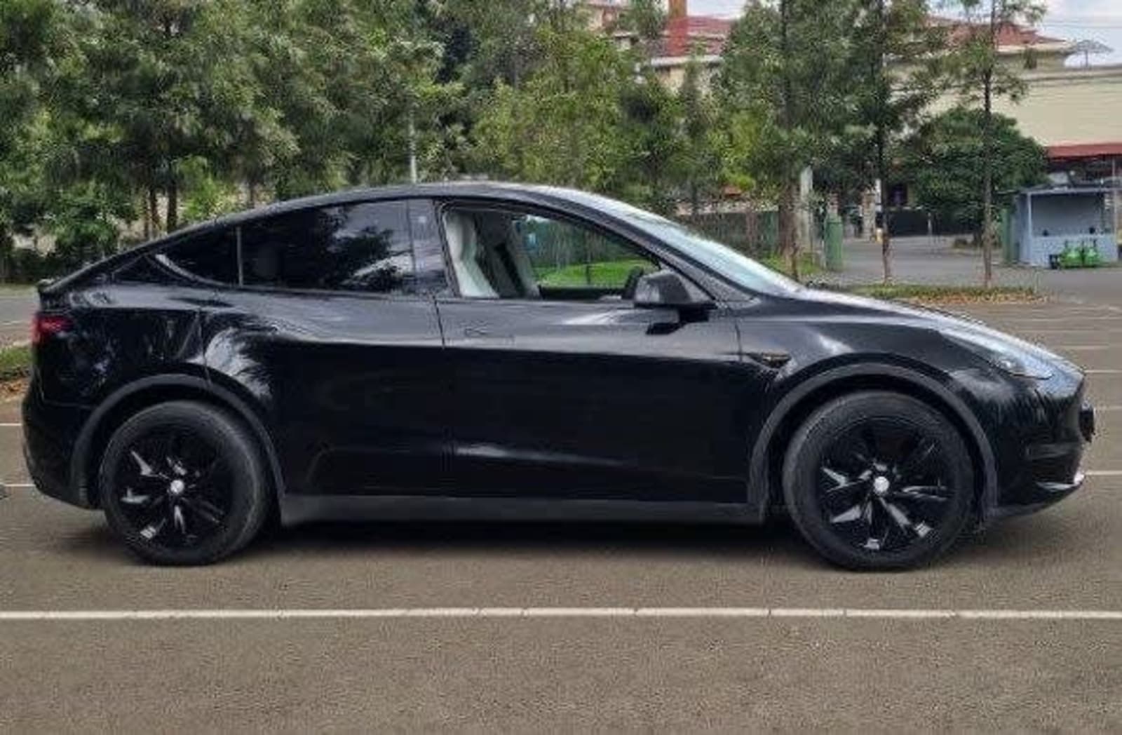 2023 Tesla Model Y — photo 6