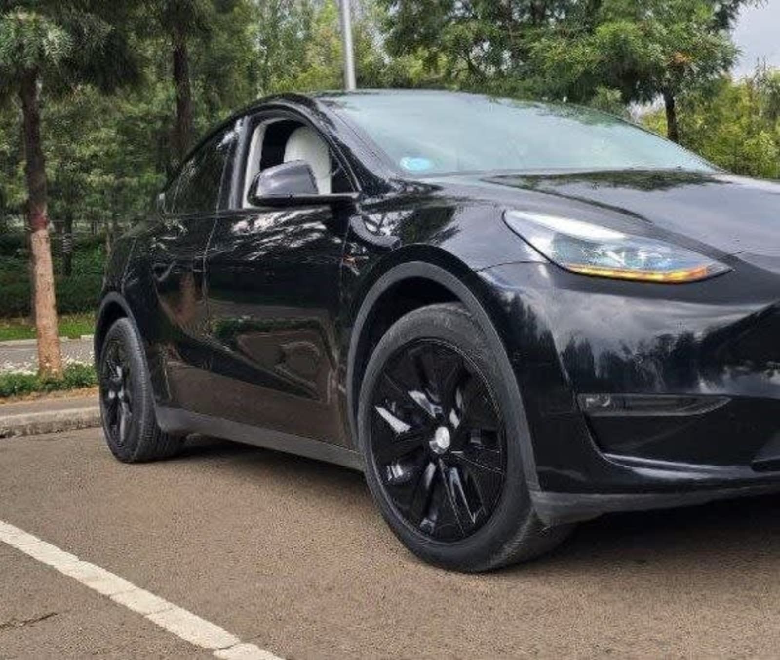 2023 Tesla Model Y — photo 7