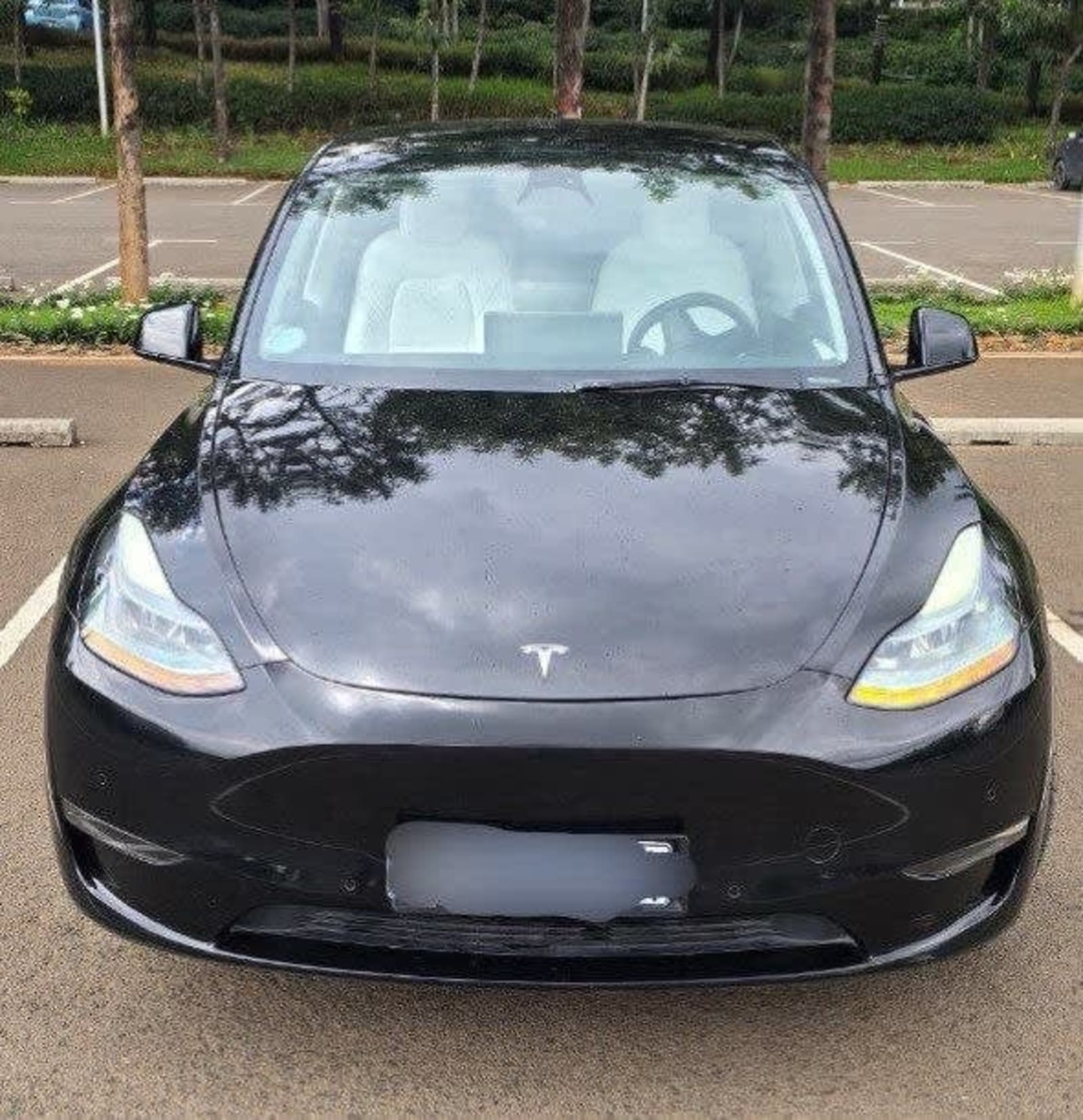 2023 Tesla Model Y — photo 8