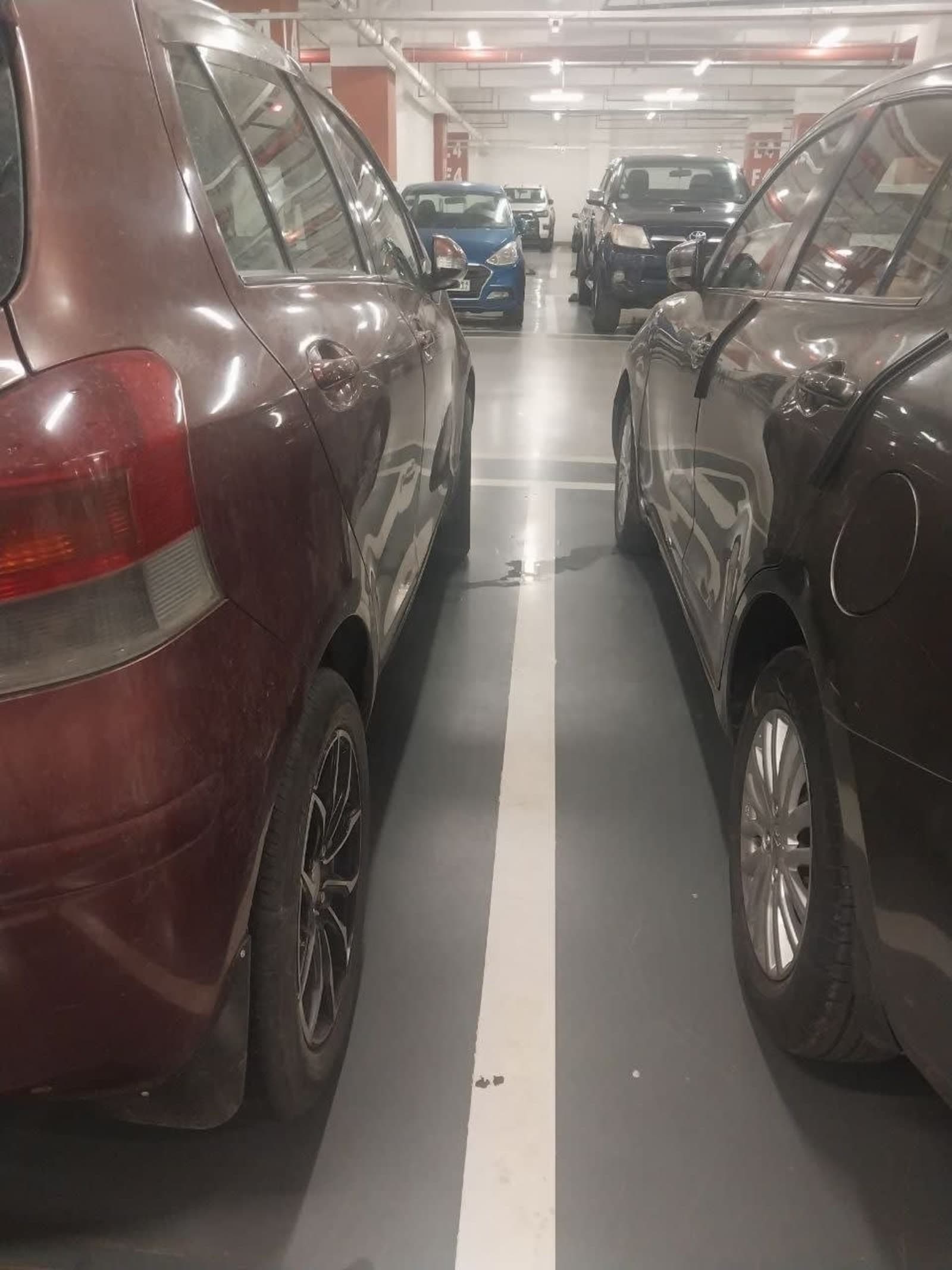 2010 Toyota Yaris — photo 2