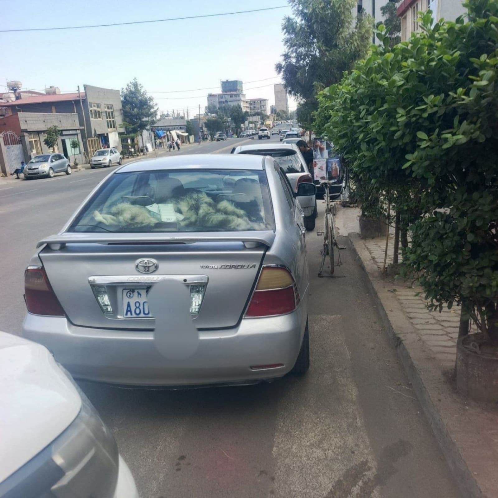 2006 Toyota Corola — photo 4