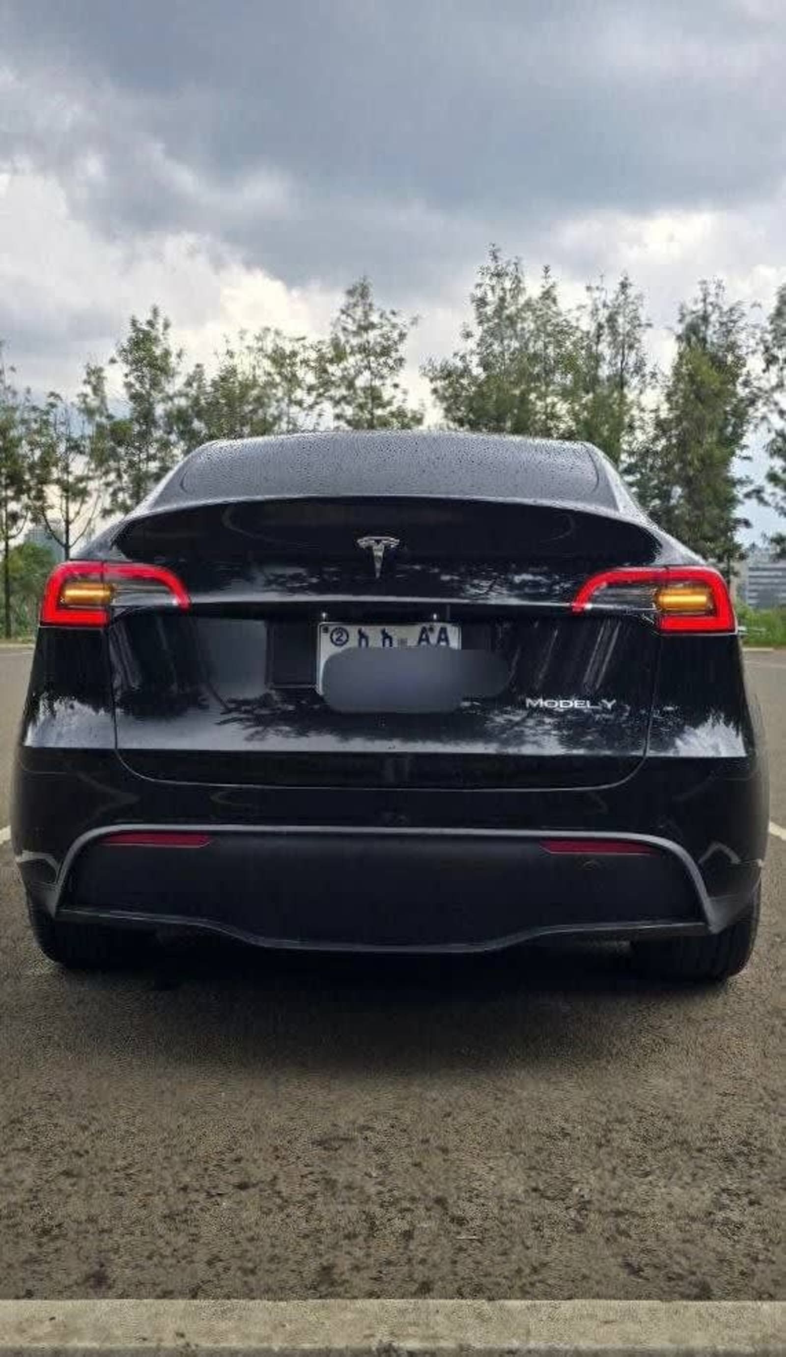 2023 TESLA MODEL Y — photo 5