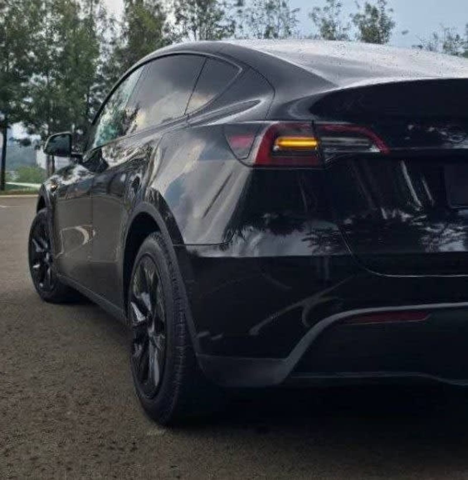 2023 TESLA MODEL Y — photo 7