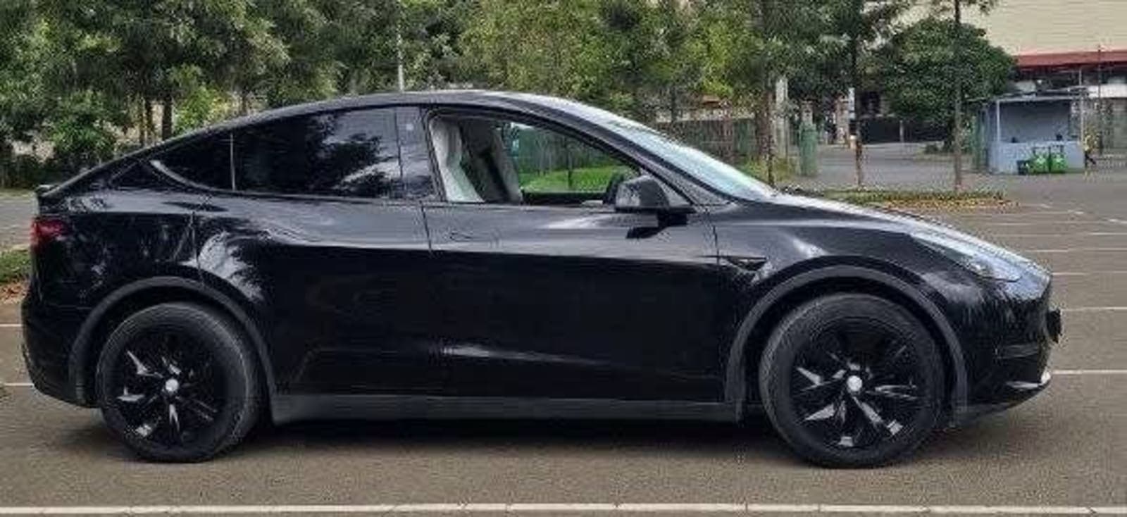 2023 TESLA MODEL Y — photo 8