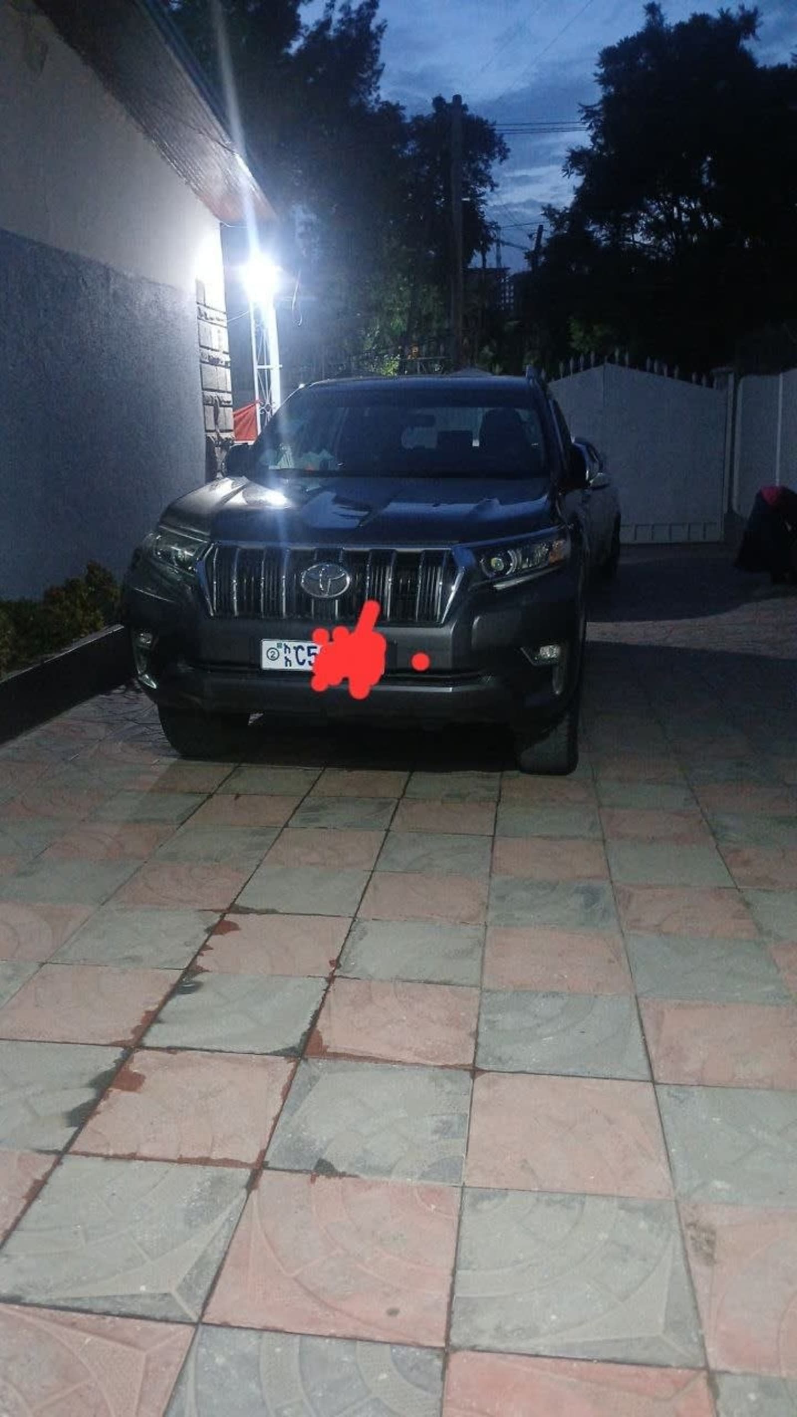 2019 Toyota Land Cruiser Prado — photo 4