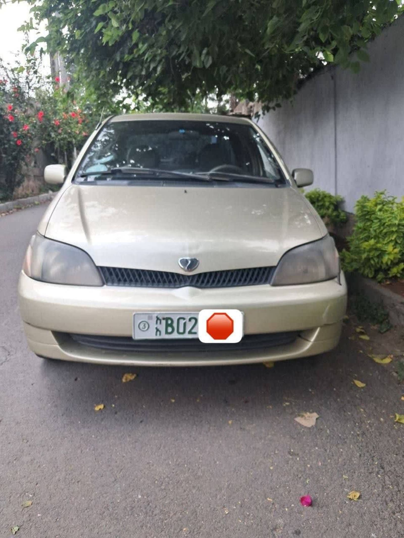 2001 Toyota Paltz — photo 5