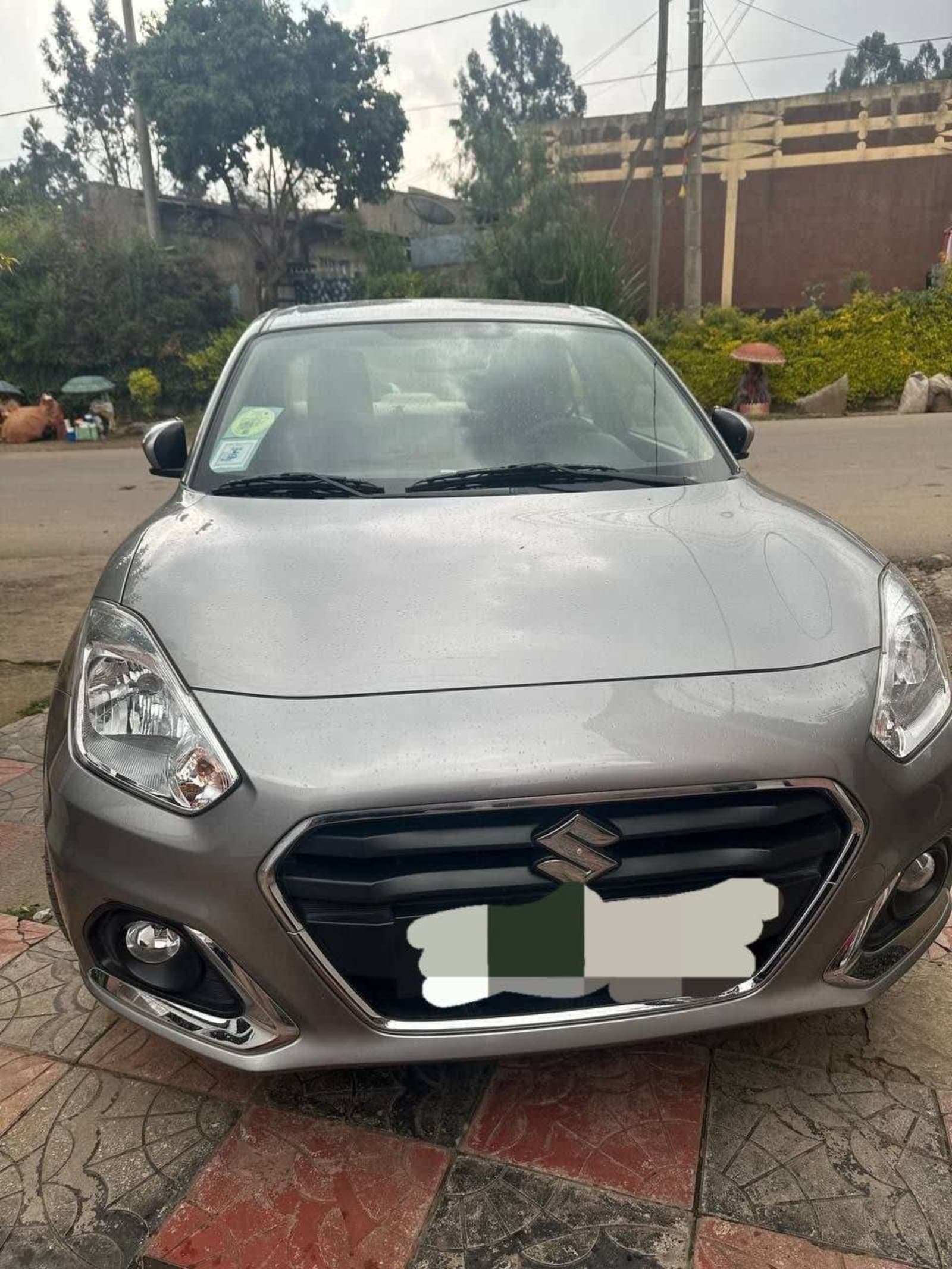 2022 Suzuki Dizar