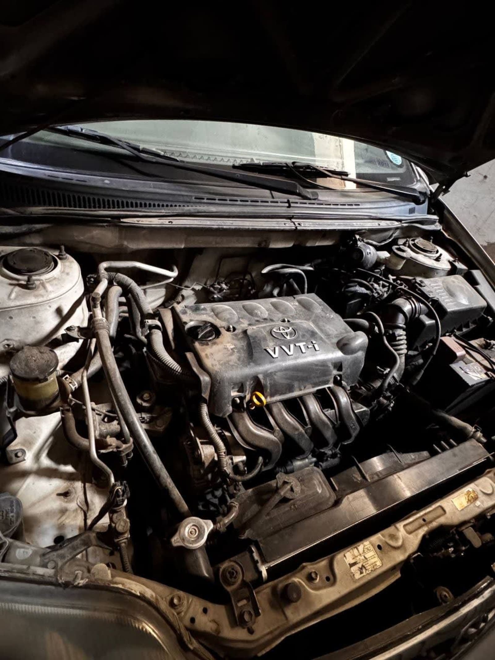 2004 Toyota Corrola — photo 4