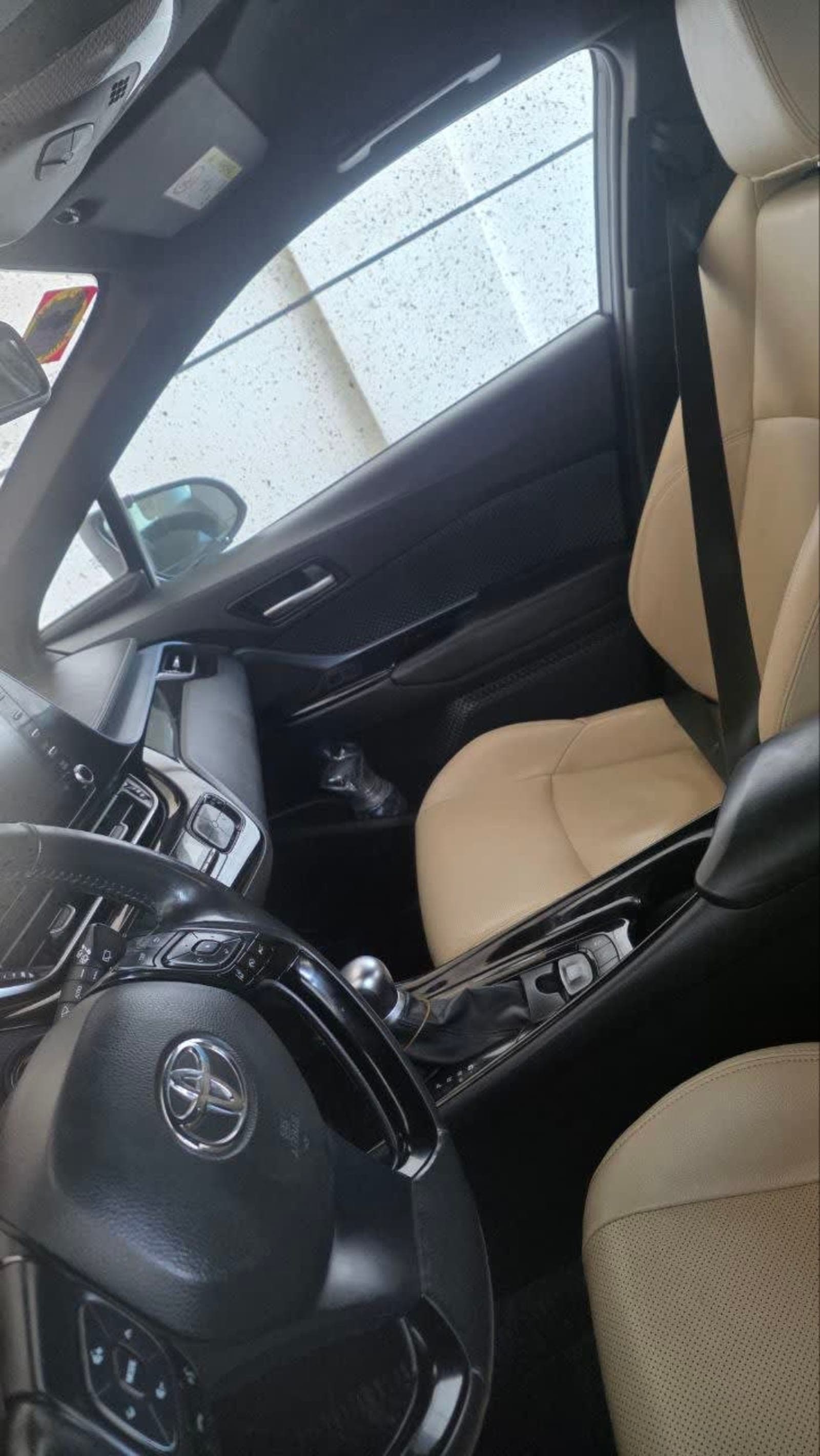 2020 Toyota CHR — photo 7
