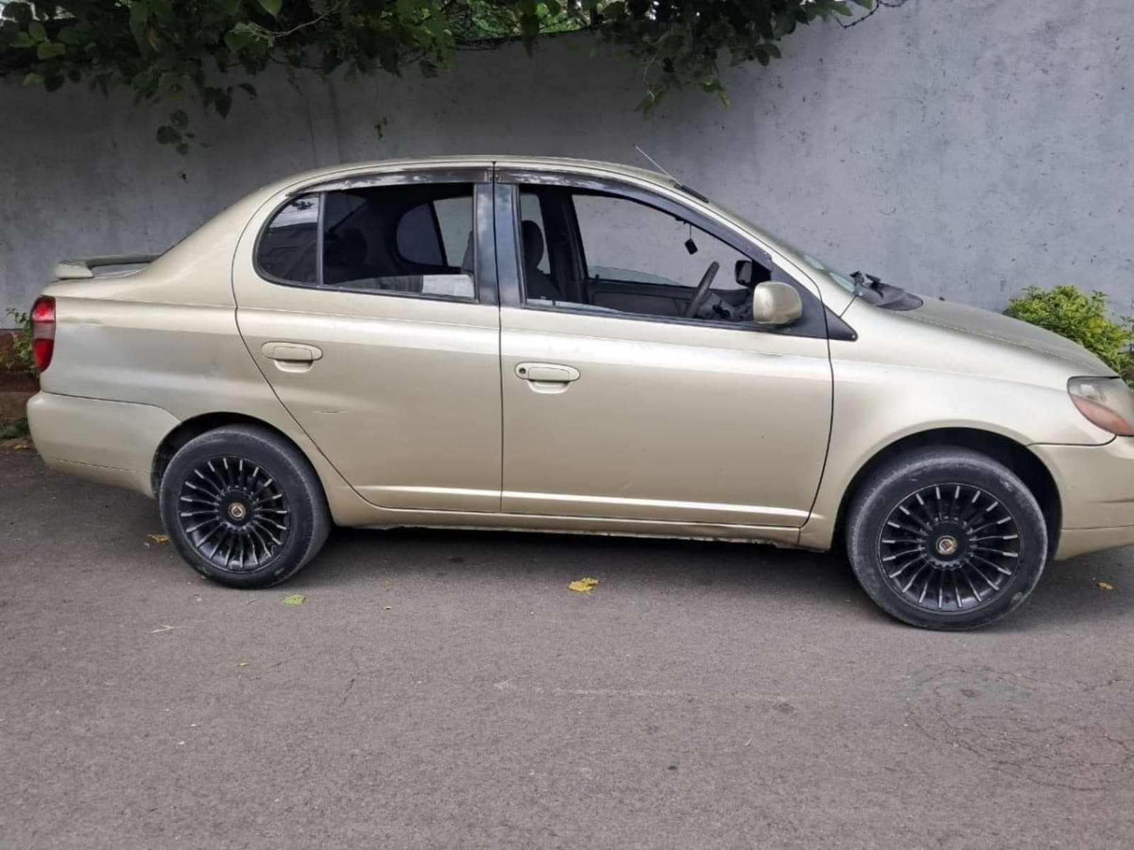 2001 Toyota Pltez — photo 4