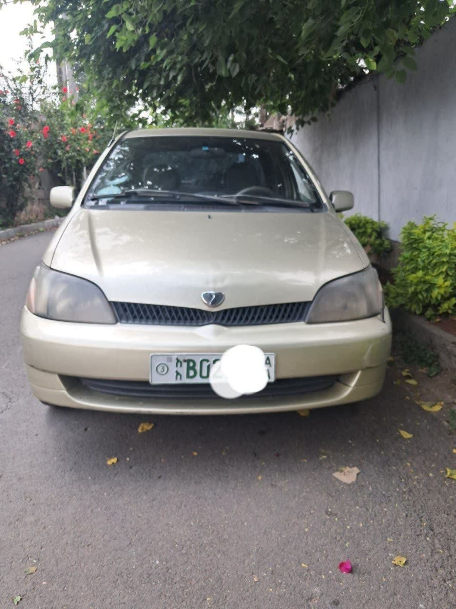 2001 Toyota Pltez — photo 5