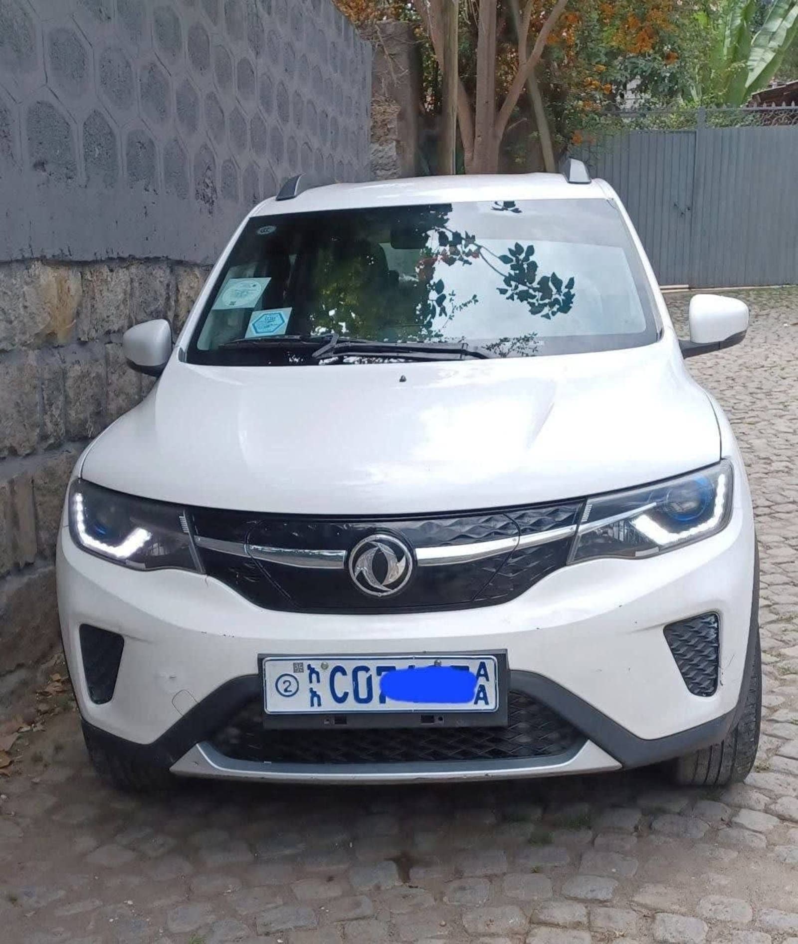 2021 Dongfeng EX1