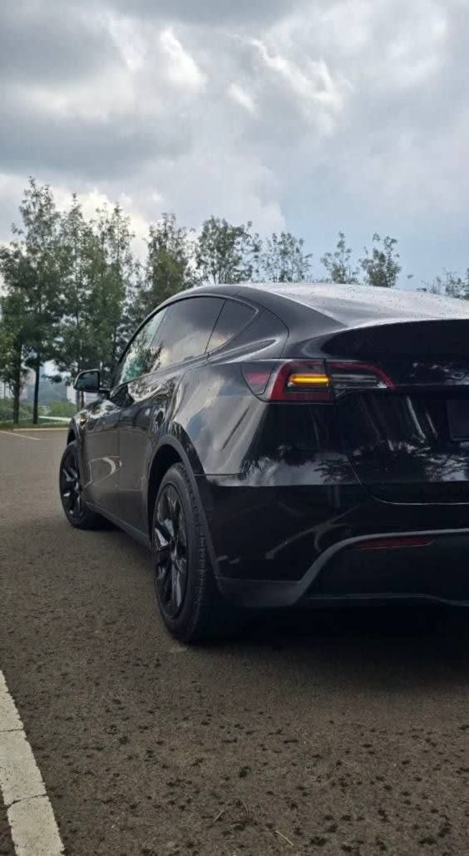 2023 Tesla Model Y — photo 2