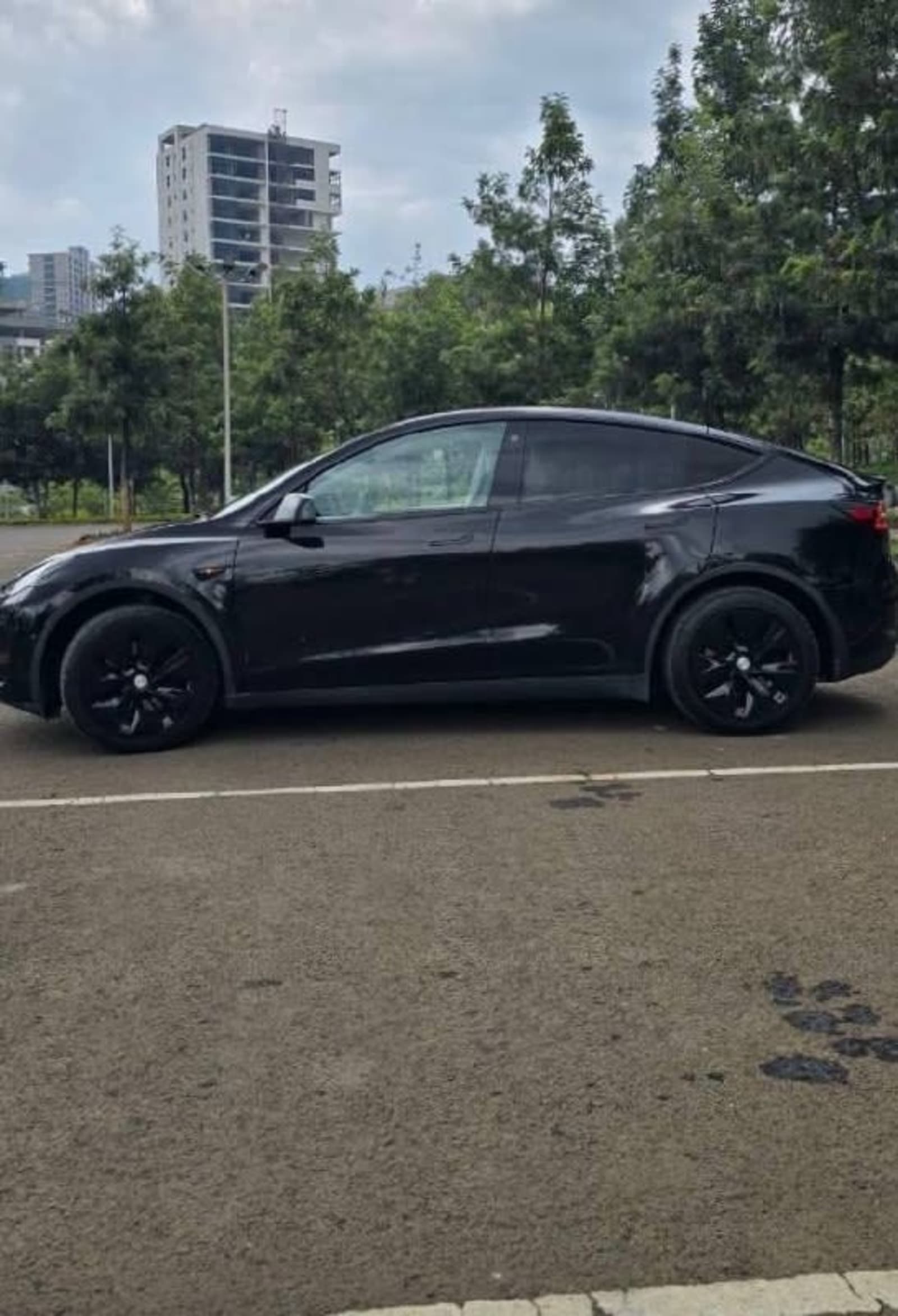 2023 Tesla Model Y — photo 3