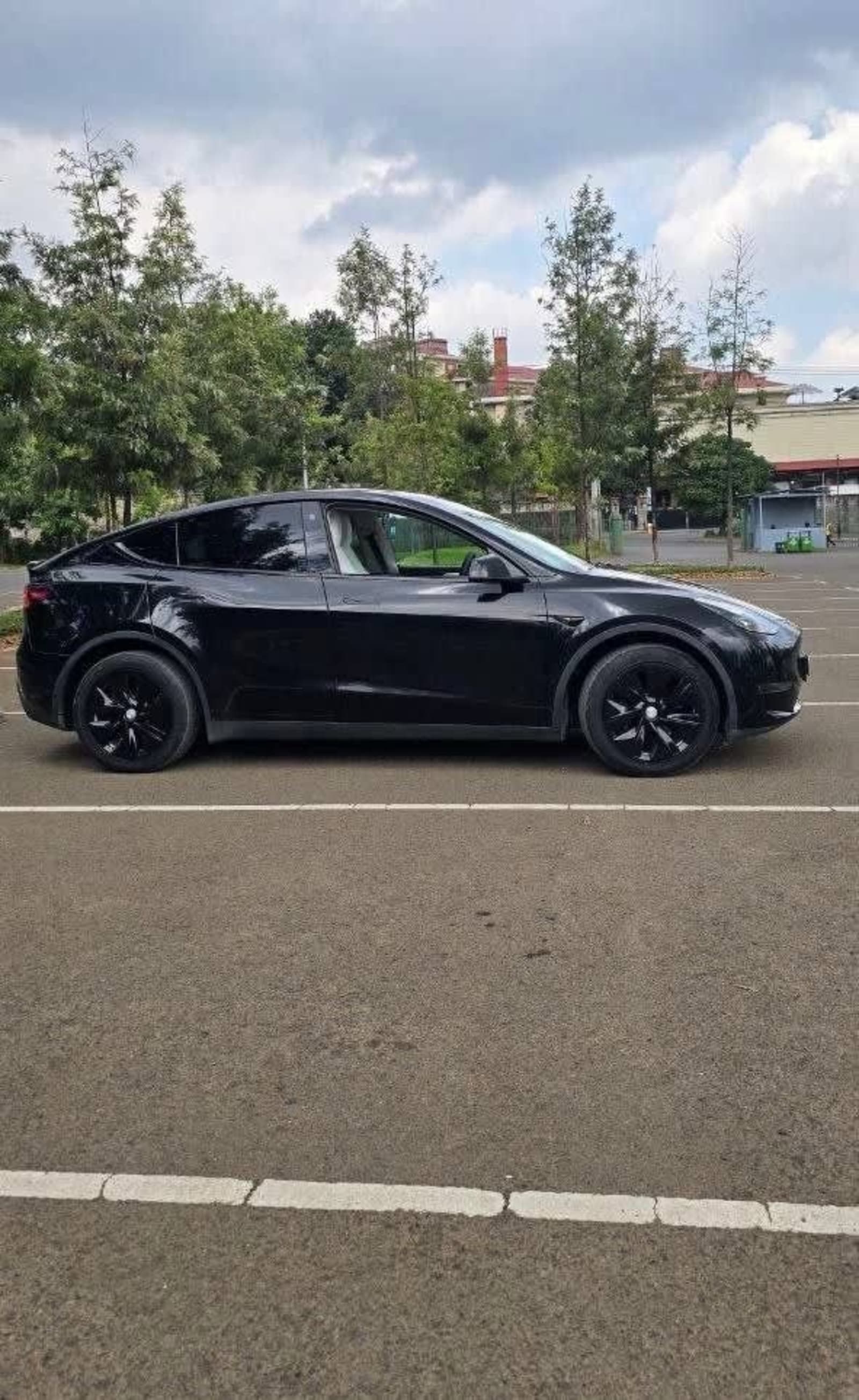 2023 Tesla Model Y — photo 6