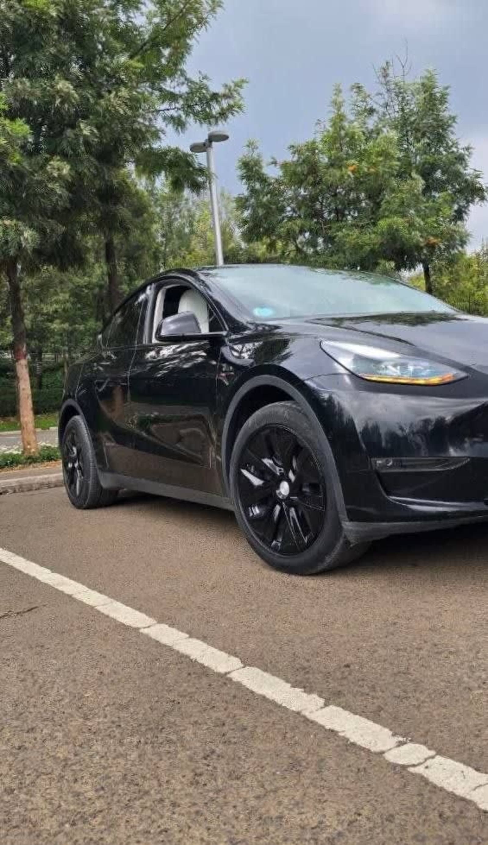2023 Tesla Model Y — photo 7