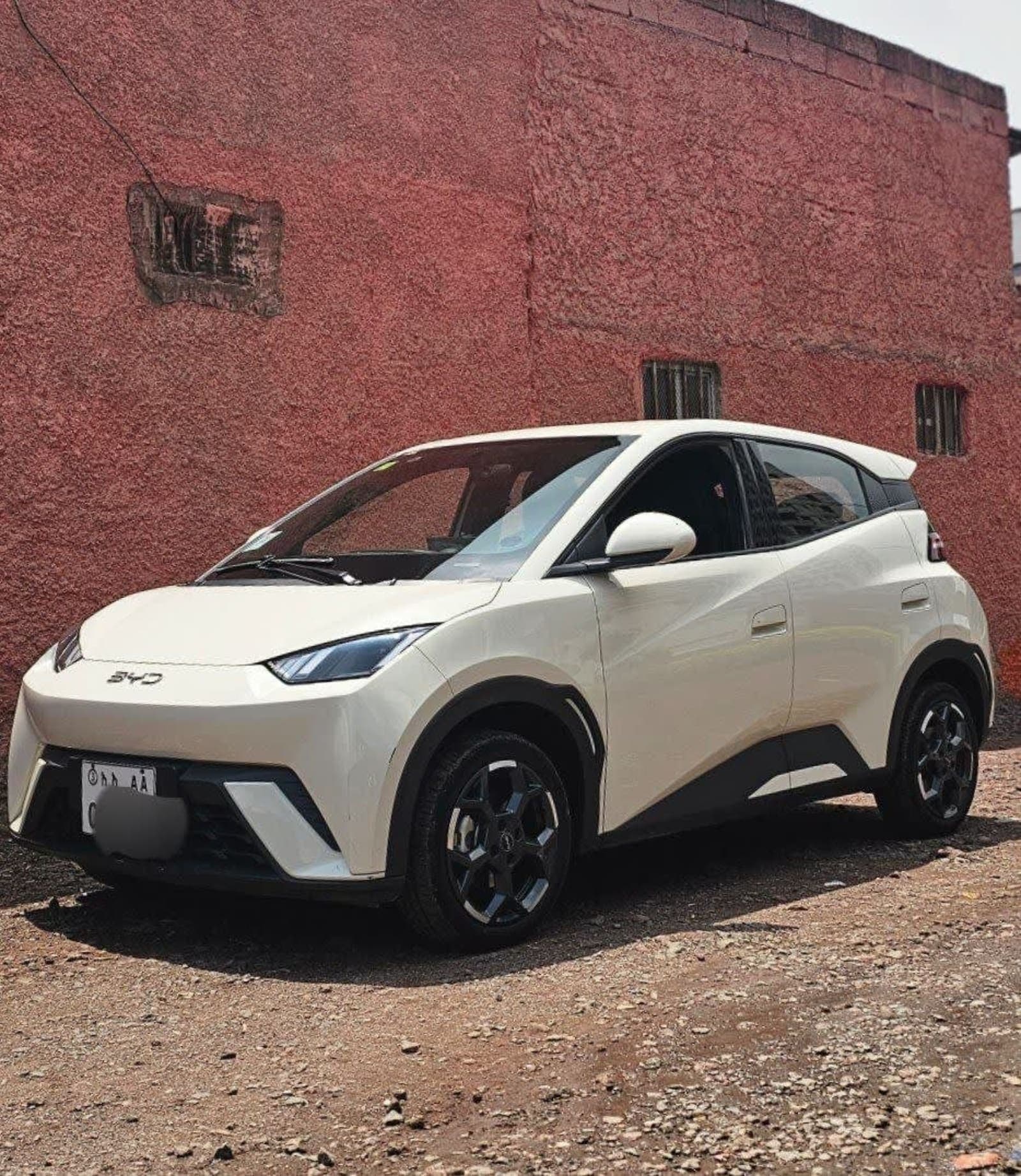 2025 BYD SEAGUL — photo 3