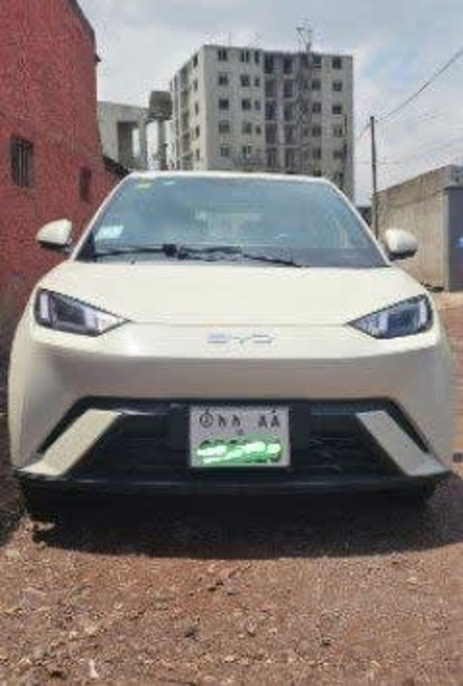 2025 BYD SEAGUL — photo 5