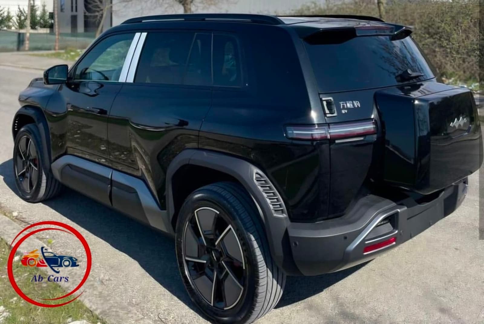 2025 BYD Leopard 3 501KM 4WD Smart Drive Ultra — photo 3