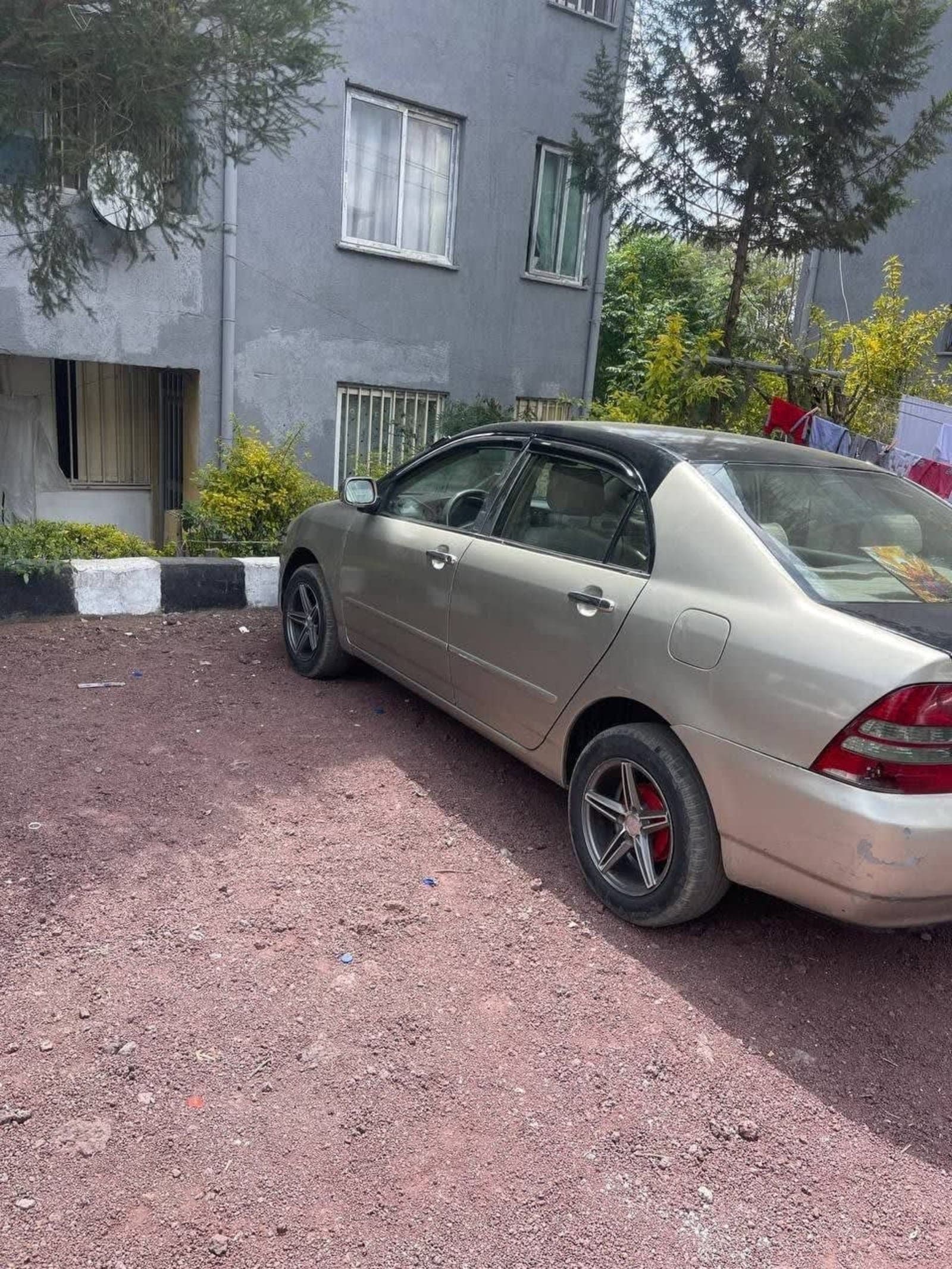 2003 Toyota Corolla — photo 5