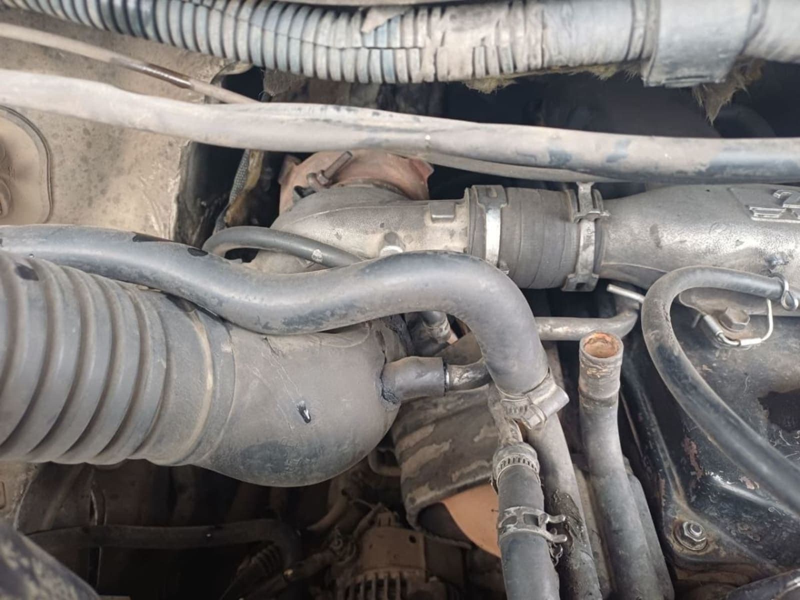 1999 Toyota 2LT — photo 5
