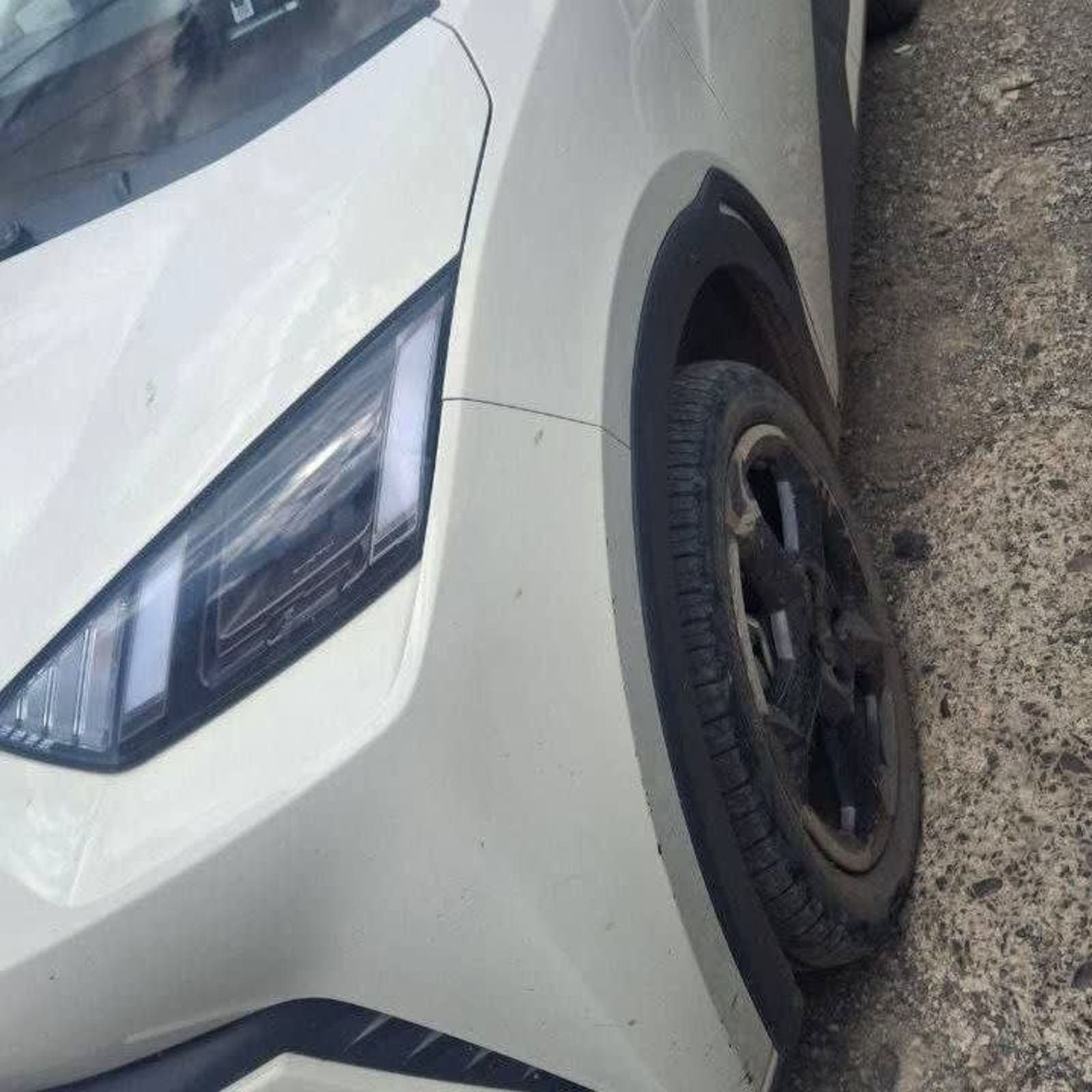 2024 BYD Segul