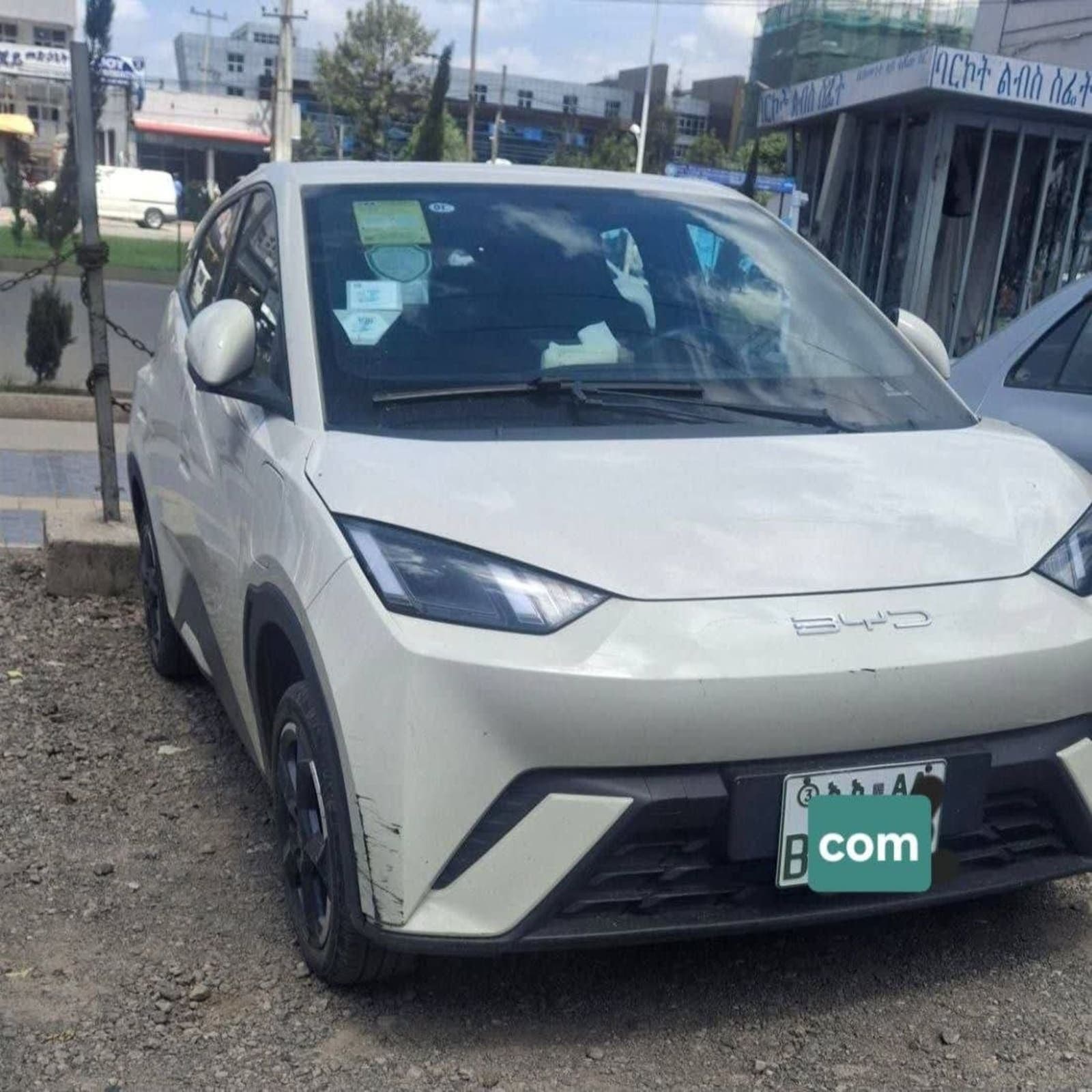 2024 BYD Segul — photo 4