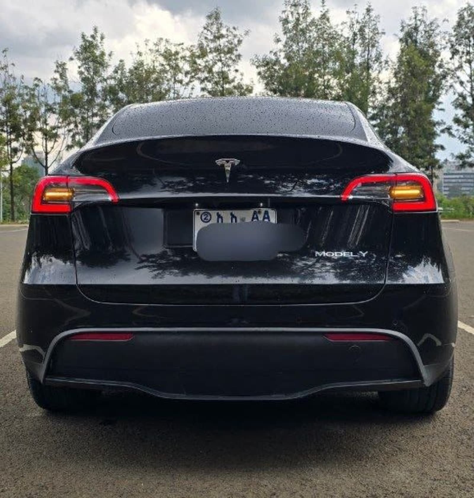 2024 Tesla Y — photo 6