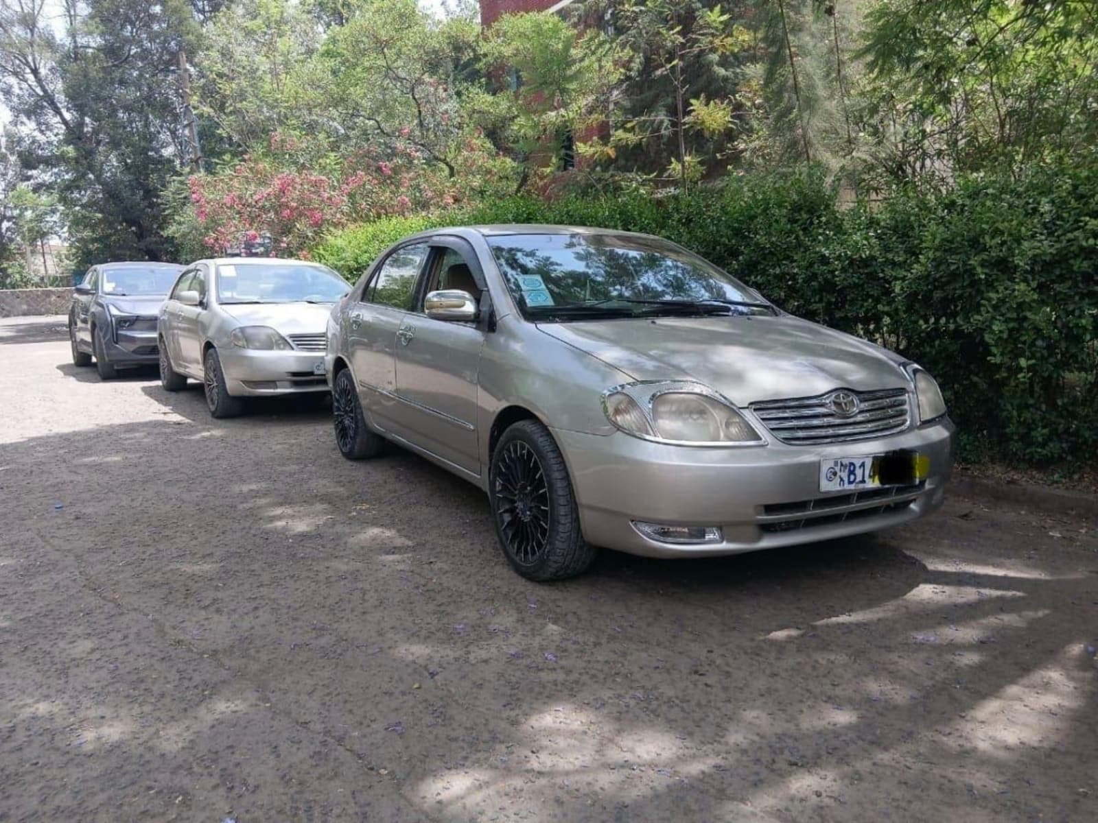 2003 Toyota Corolla — photo 3