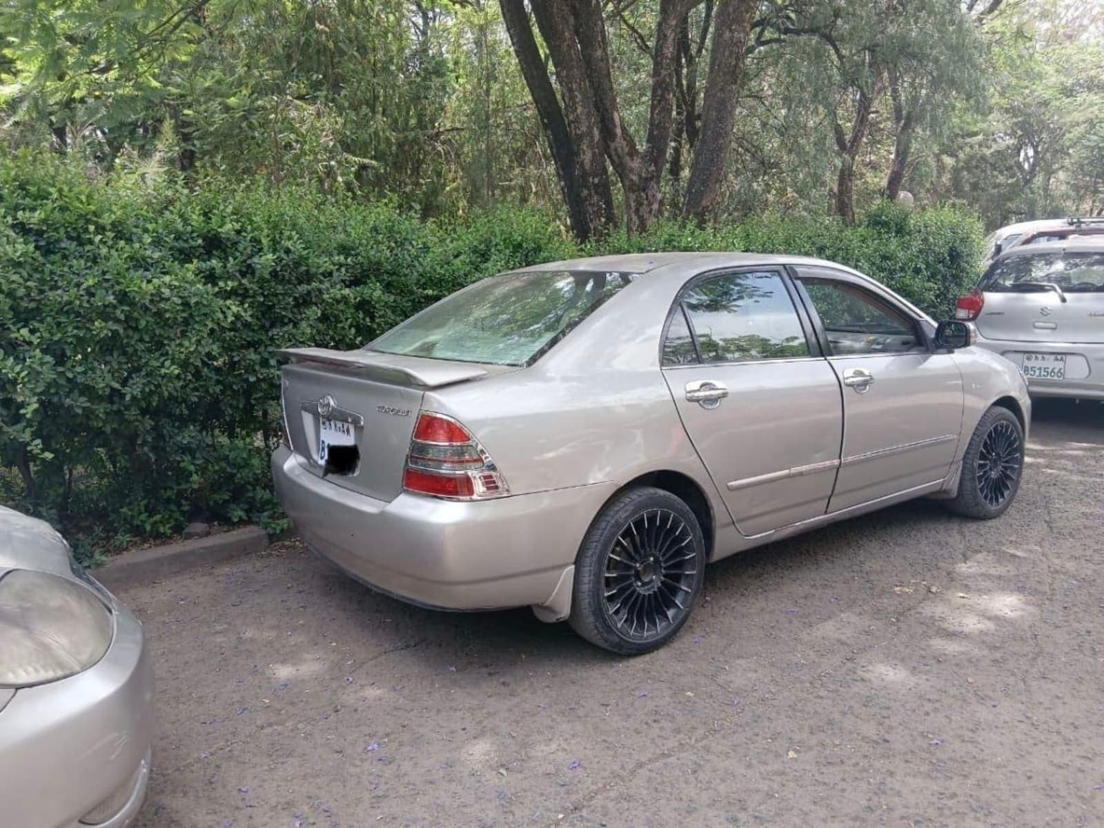2003 Toyota Corolla — photo 4