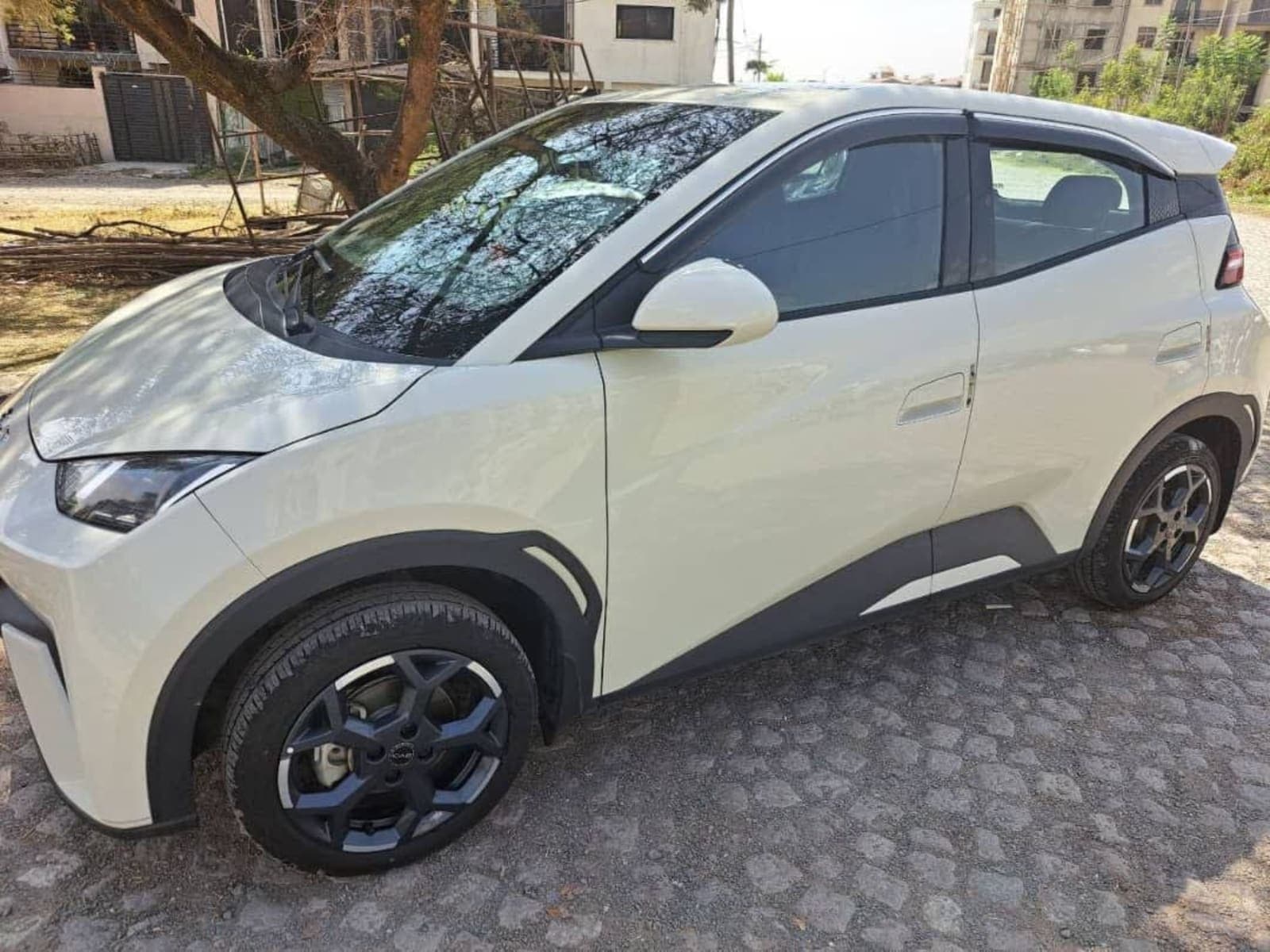 2025 BYD Segule — photo 3