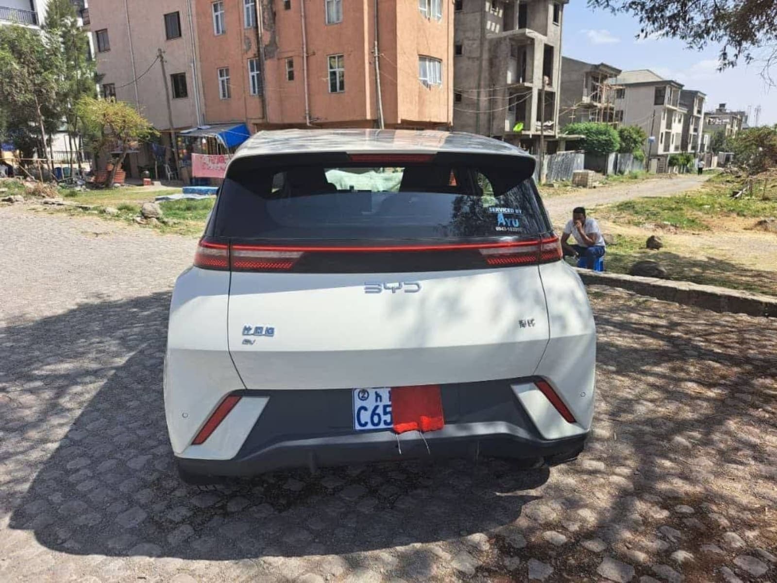 2025 BYD Segule — photo 5
