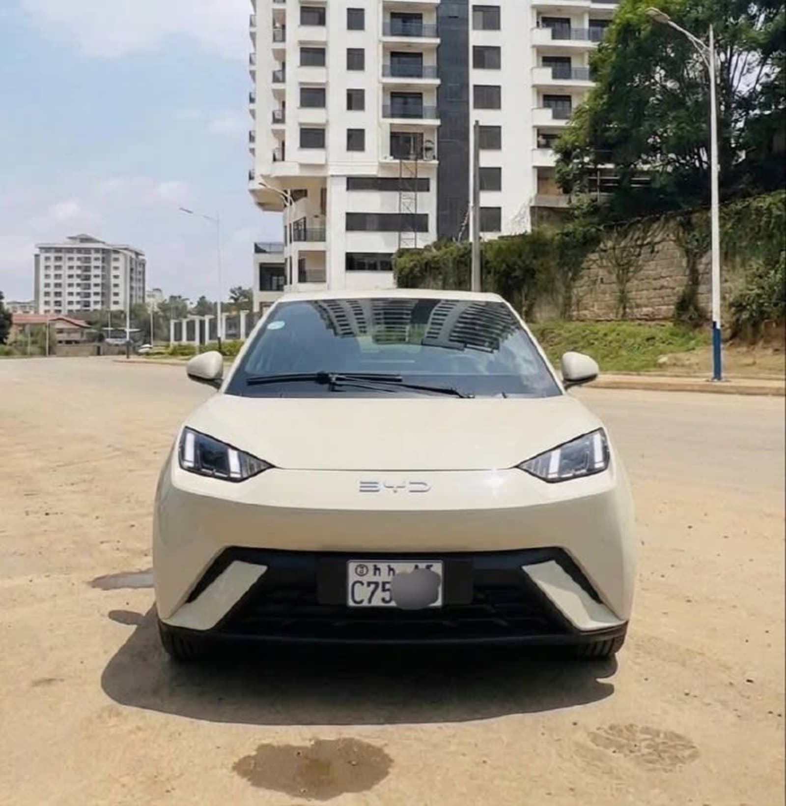 2025 BYD Segulle — photo 3