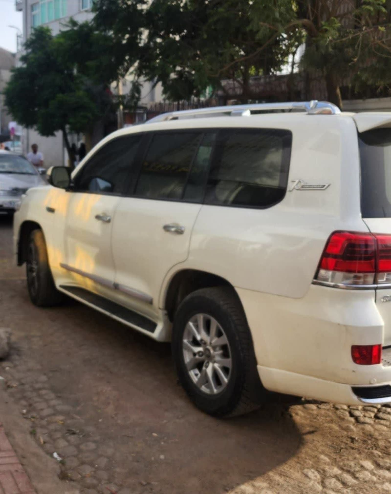 2010 Toyota Landcruiser