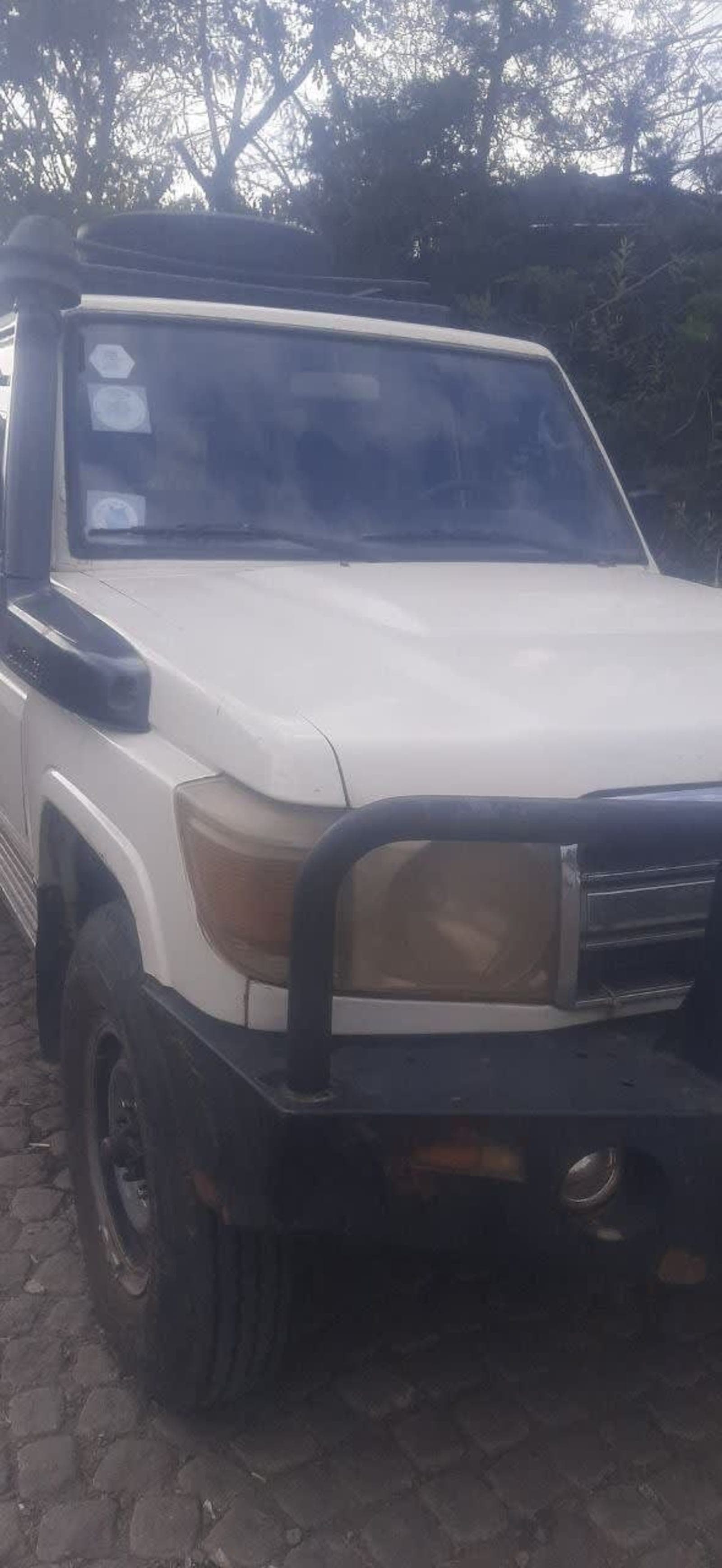 2010 Toyota LandCruiser Mark II