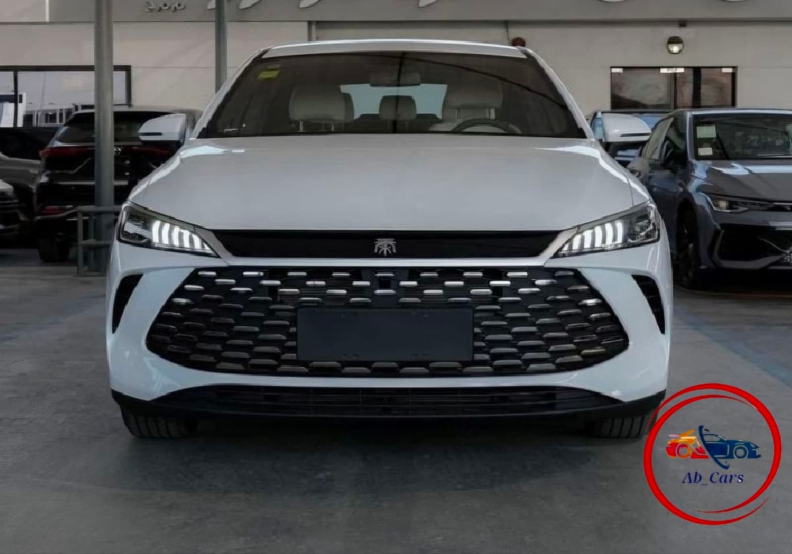 2025 BYD Qin Plus DM-i