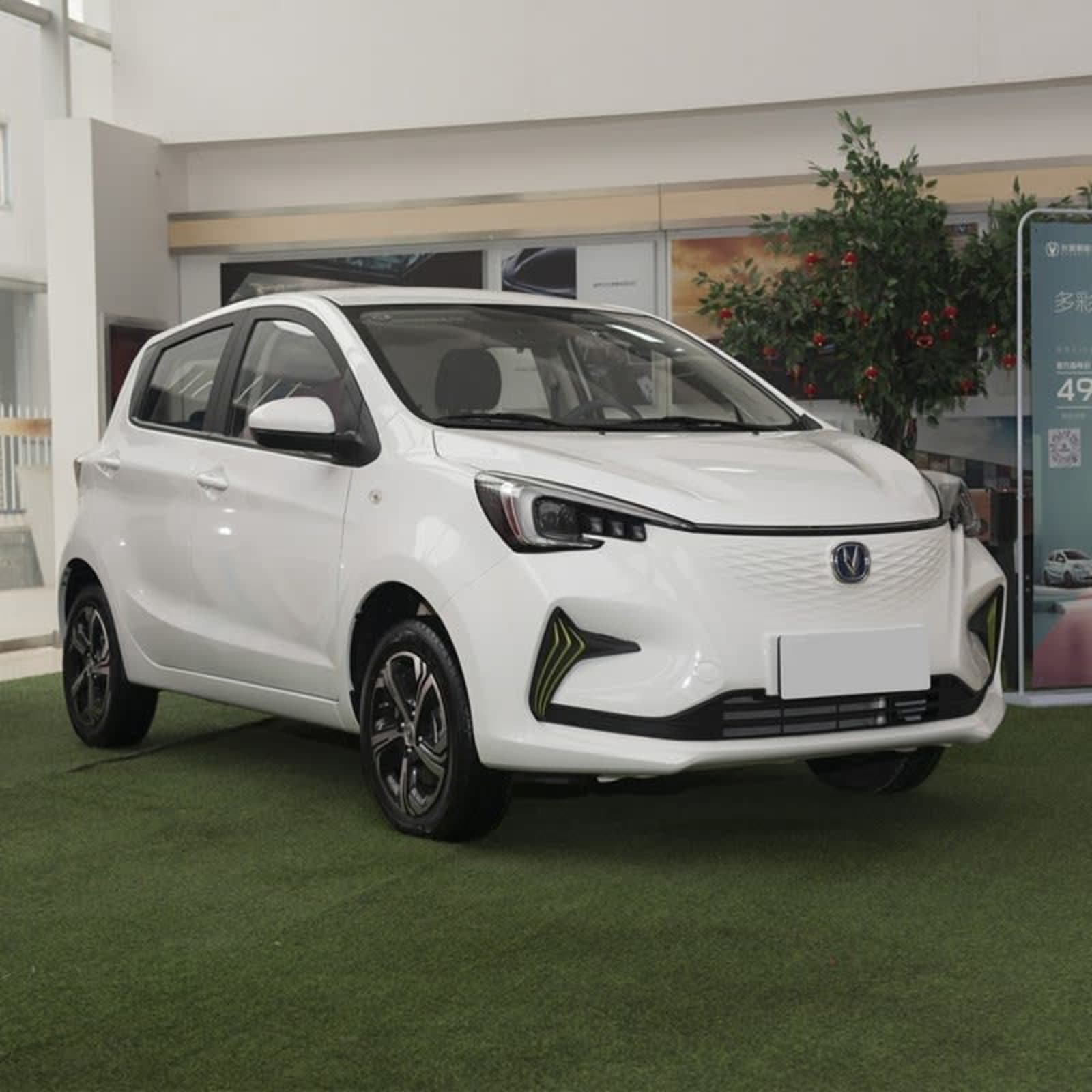 2024 CHANGAN ESTAR