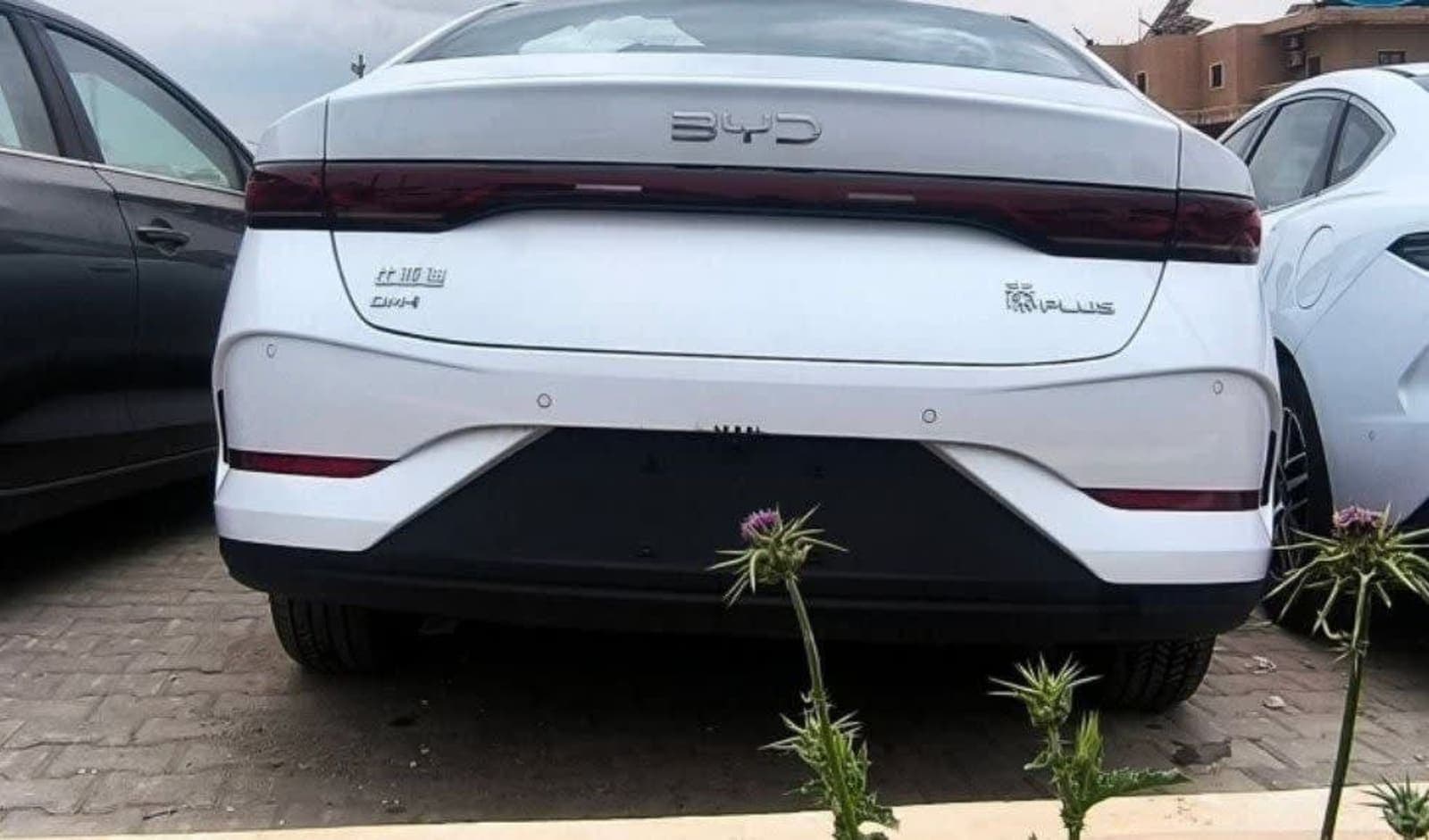 2025 BYD Qin Plus DM-I
