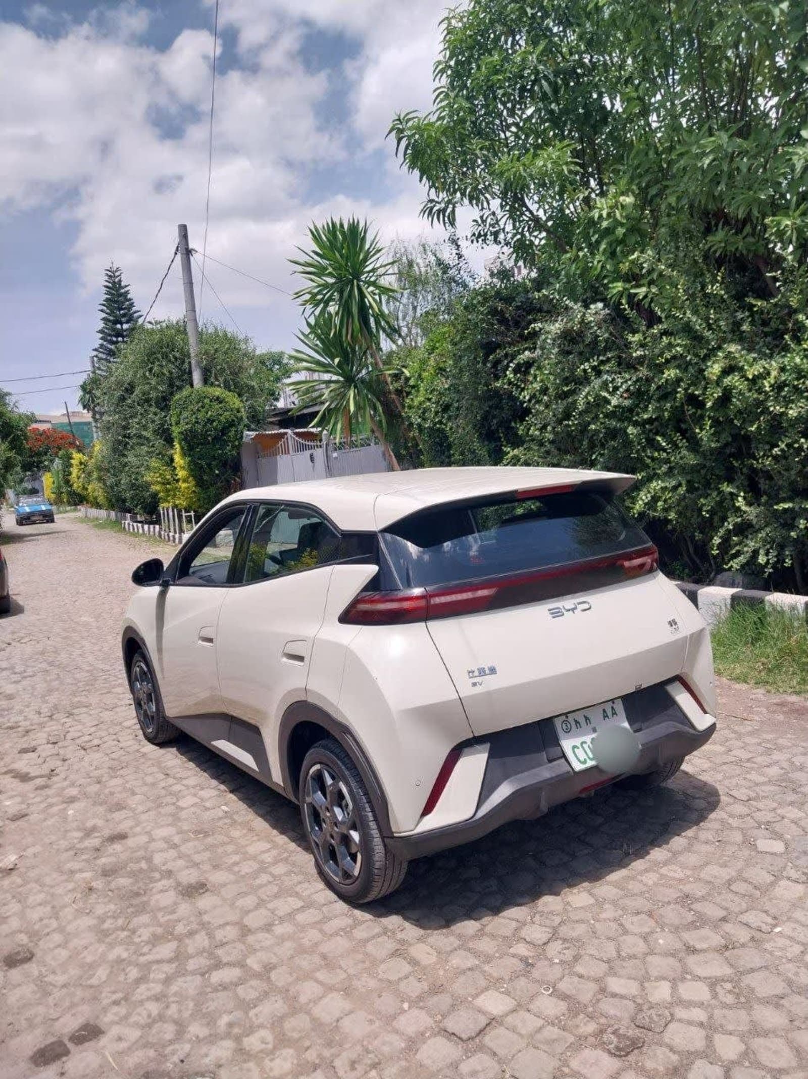 2024 BYD SEGULL — photo 3