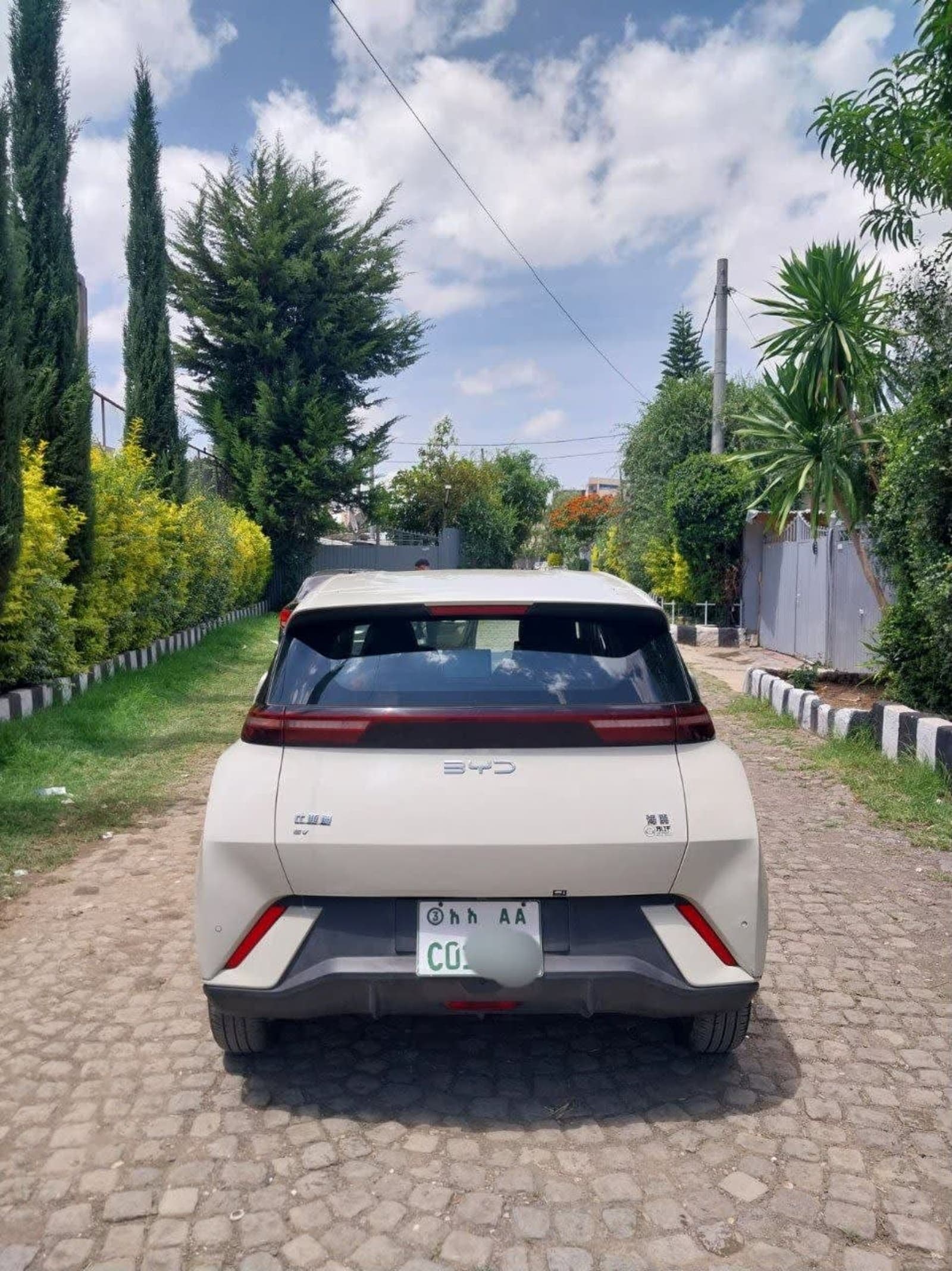 2024 BYD SEGULL — photo 4