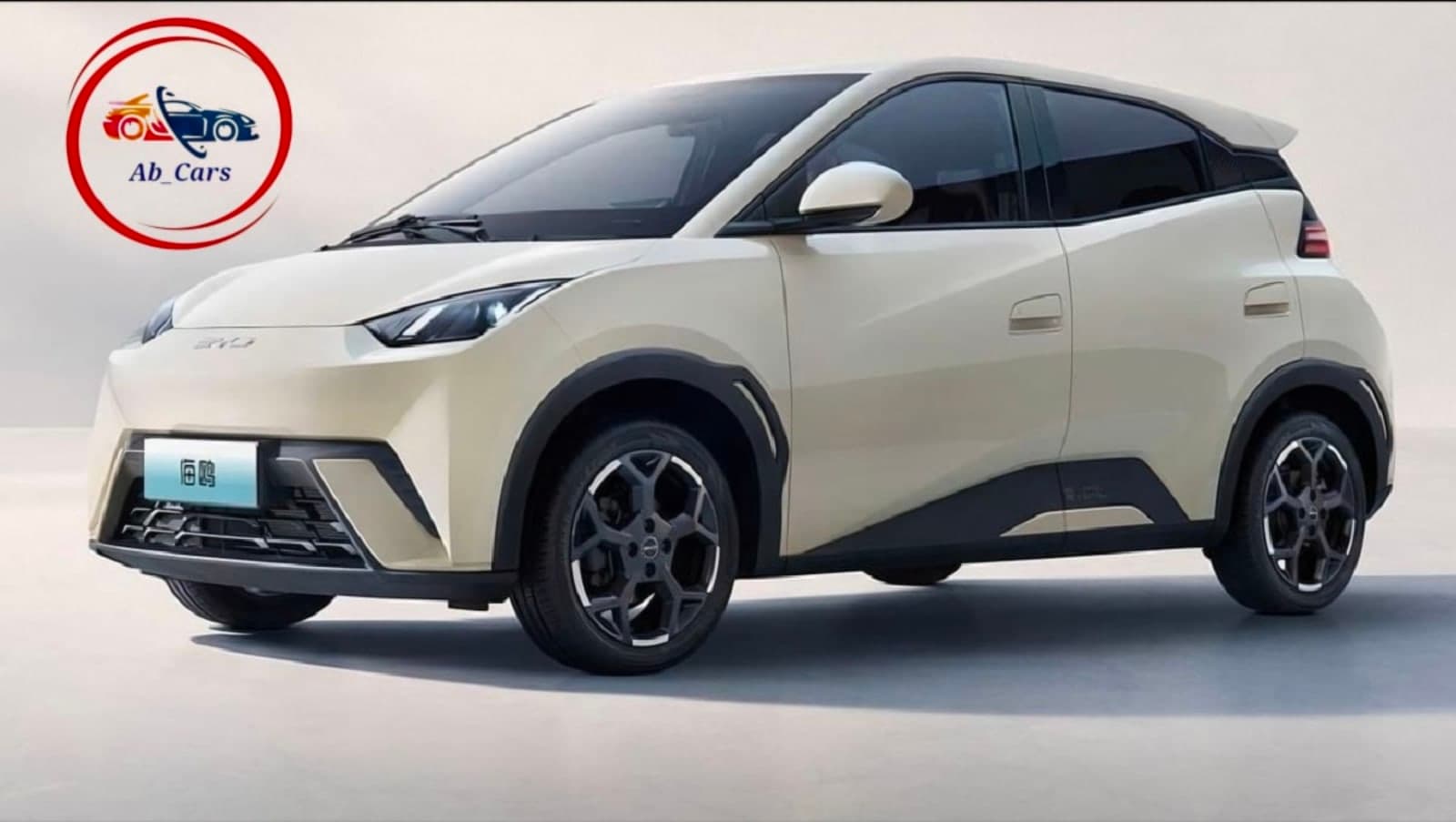 2025 BYD Seagull 405
