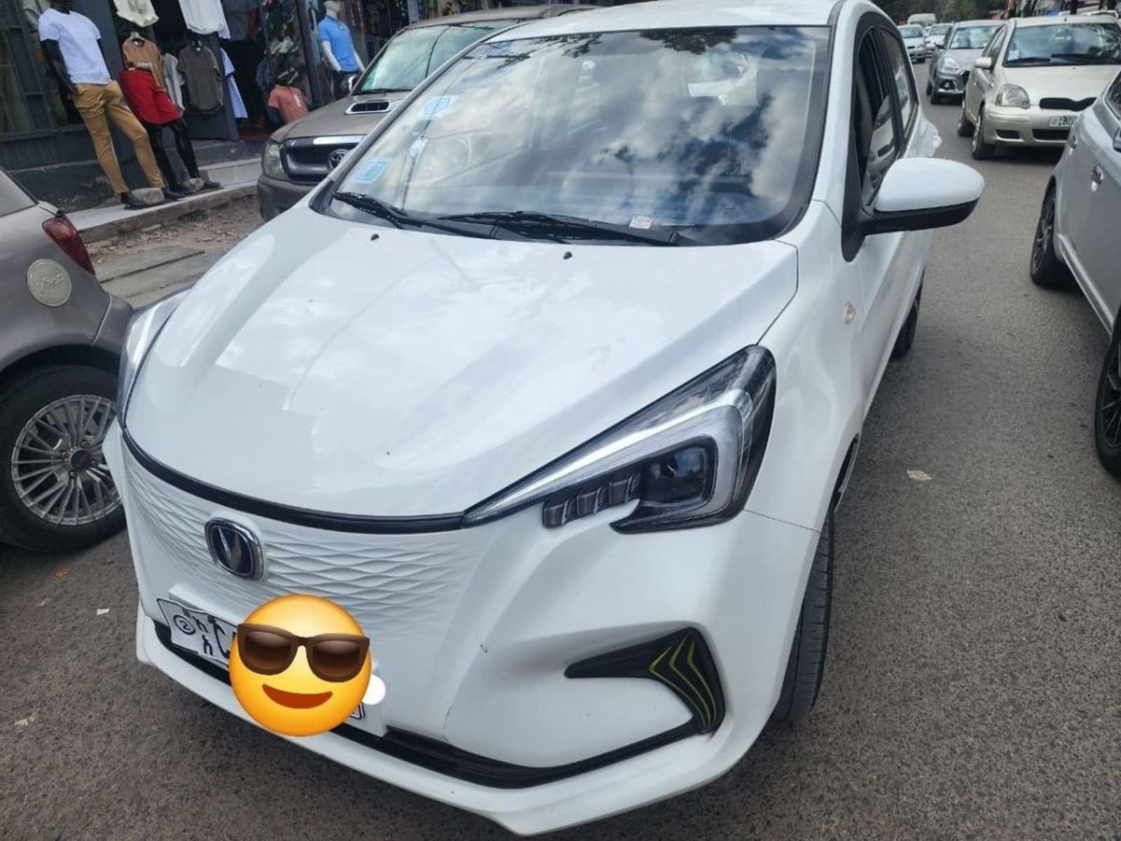 2023 Changan Benben e-star